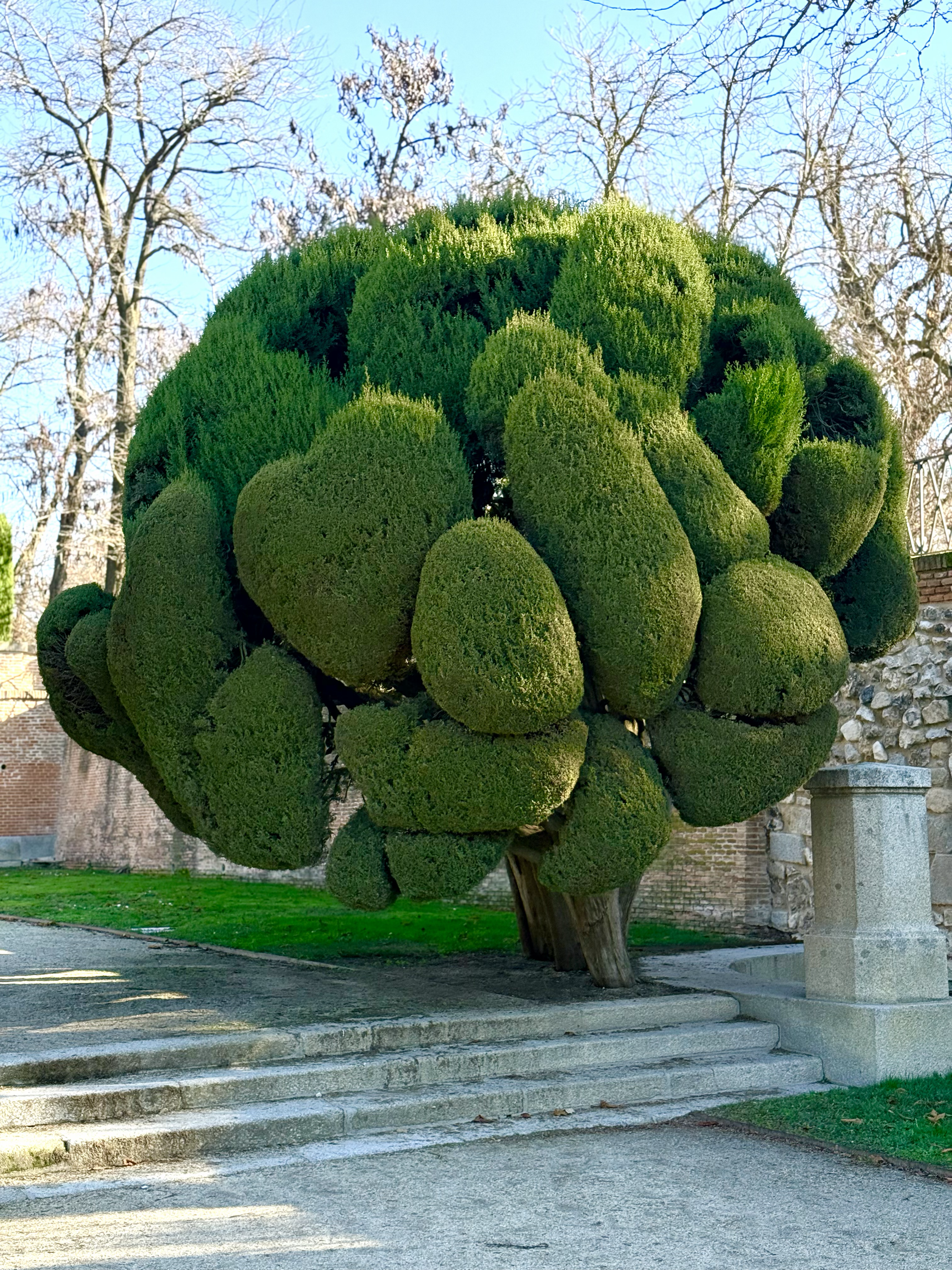 tempImageXr7EFs.png