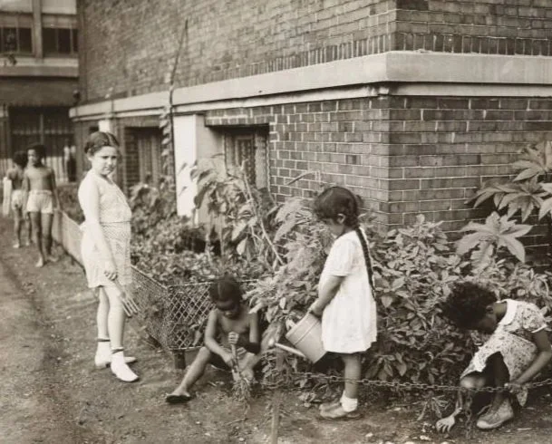 The JPC and CPD Photoarchives