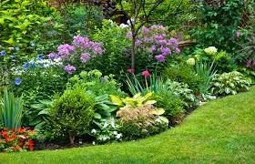 images (21).jpg