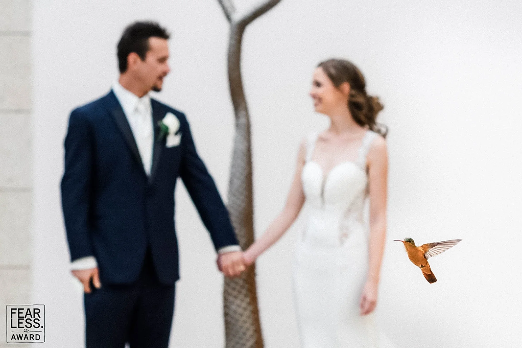 A bride and groom holding hands during their wedding ceremony, standing near a small tree, with a hummingbird flying near the bride.