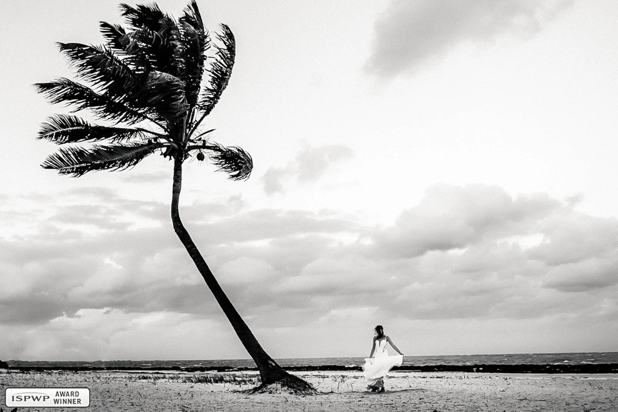 Bridal portrait in a wide angle view, next to her a palm tree showing hard winds and a cloudy sky.