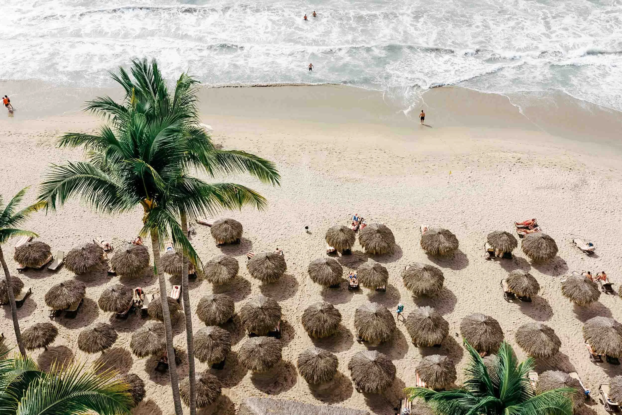Aerial view of a beach with straw umbrellas, a palm tree in the foreground, and people in the water and on the sand.