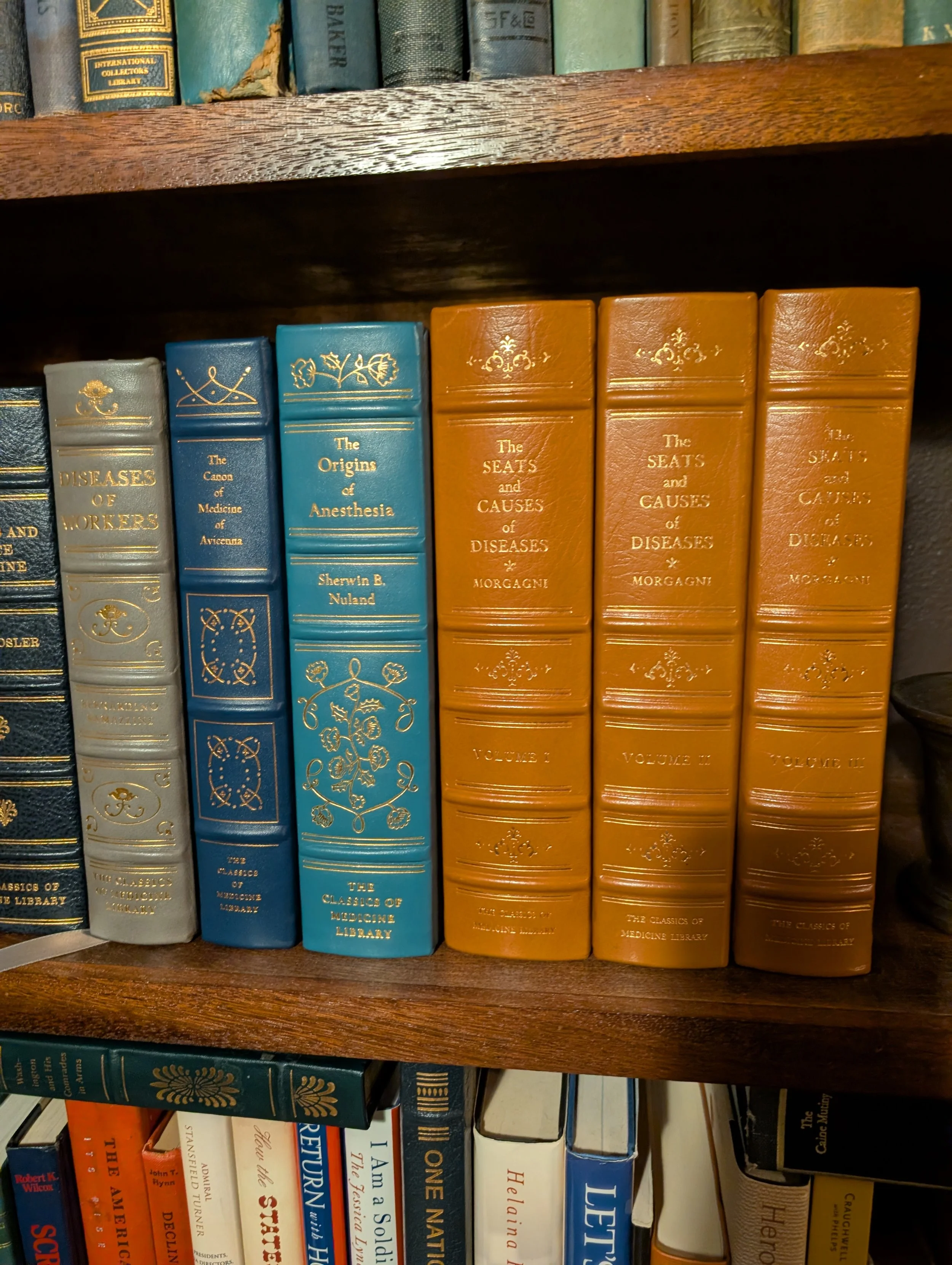 PXL_20260719_011122420.jpg