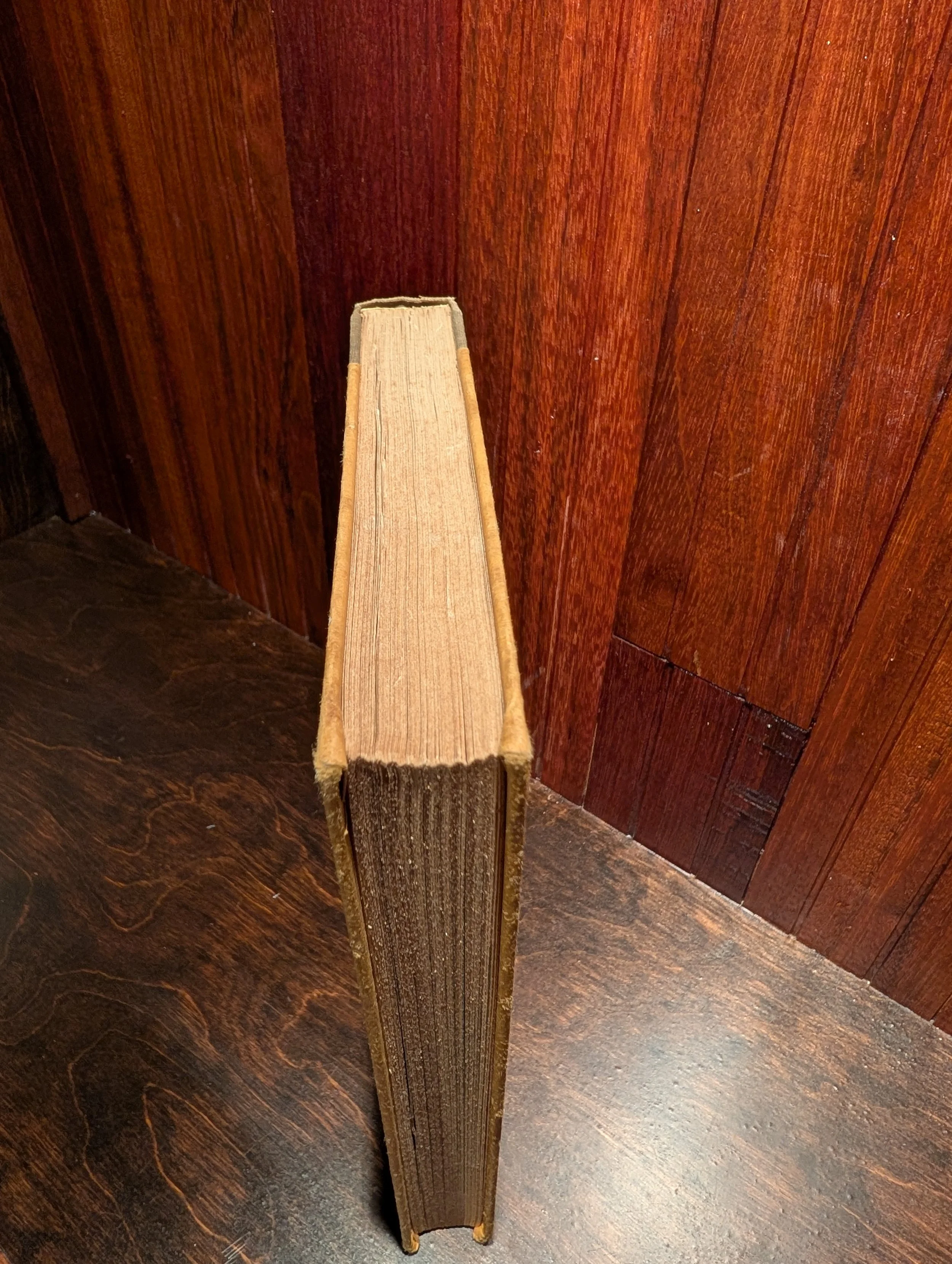 PXL_20260719_141320543.jpg