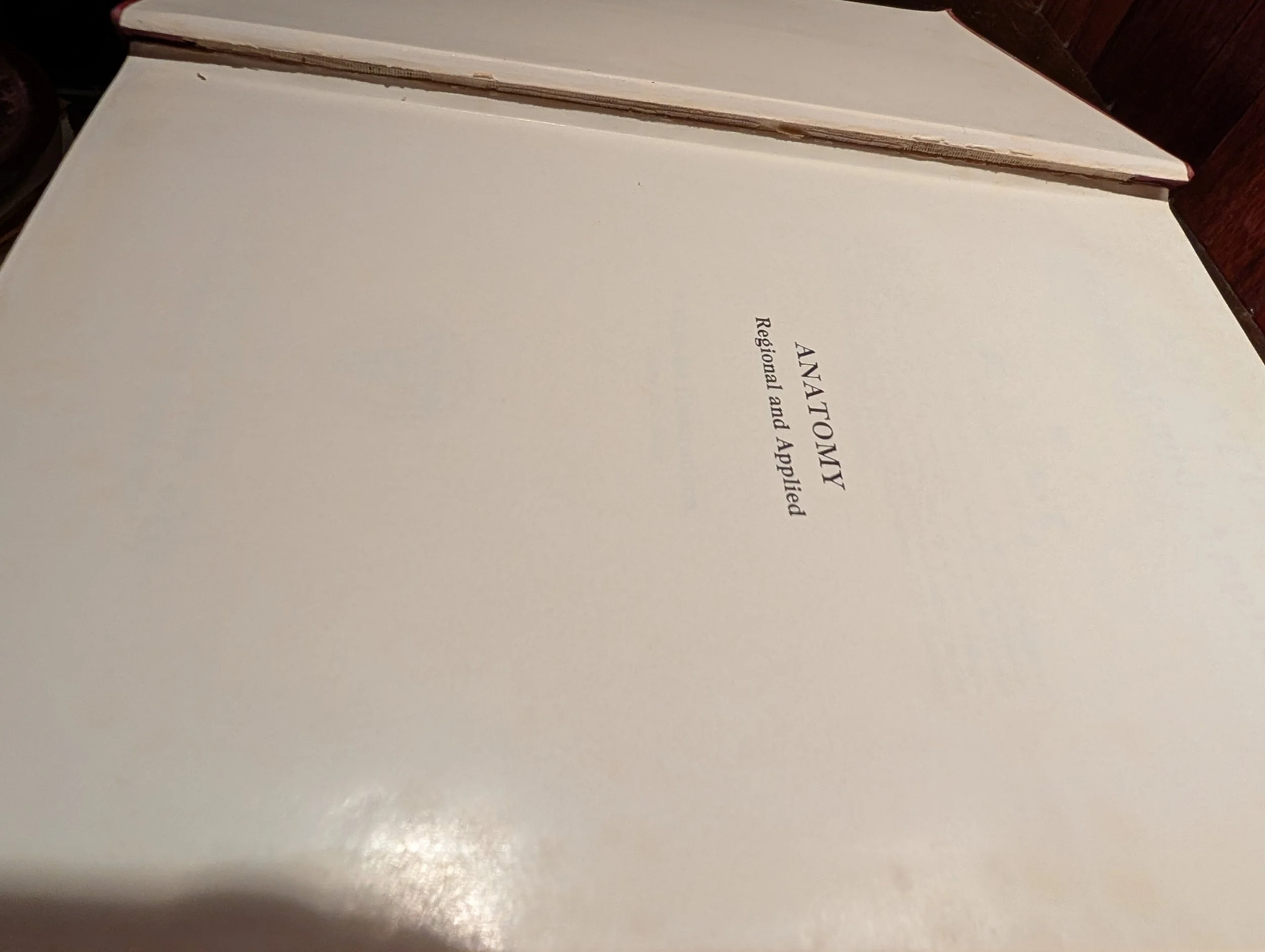 PXL_20260719_011332240.jpg