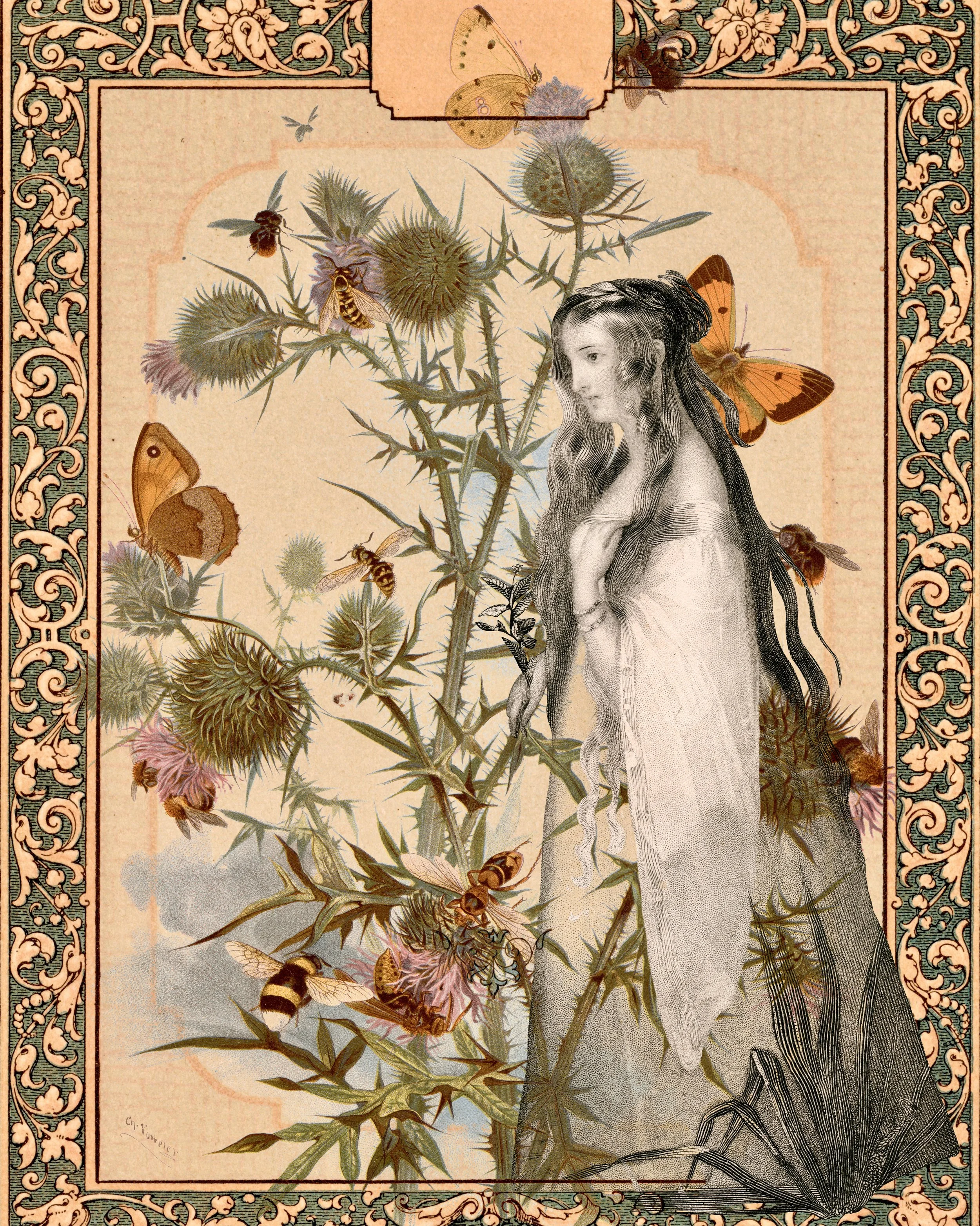 Title Thistle Ghost
Digital Collage