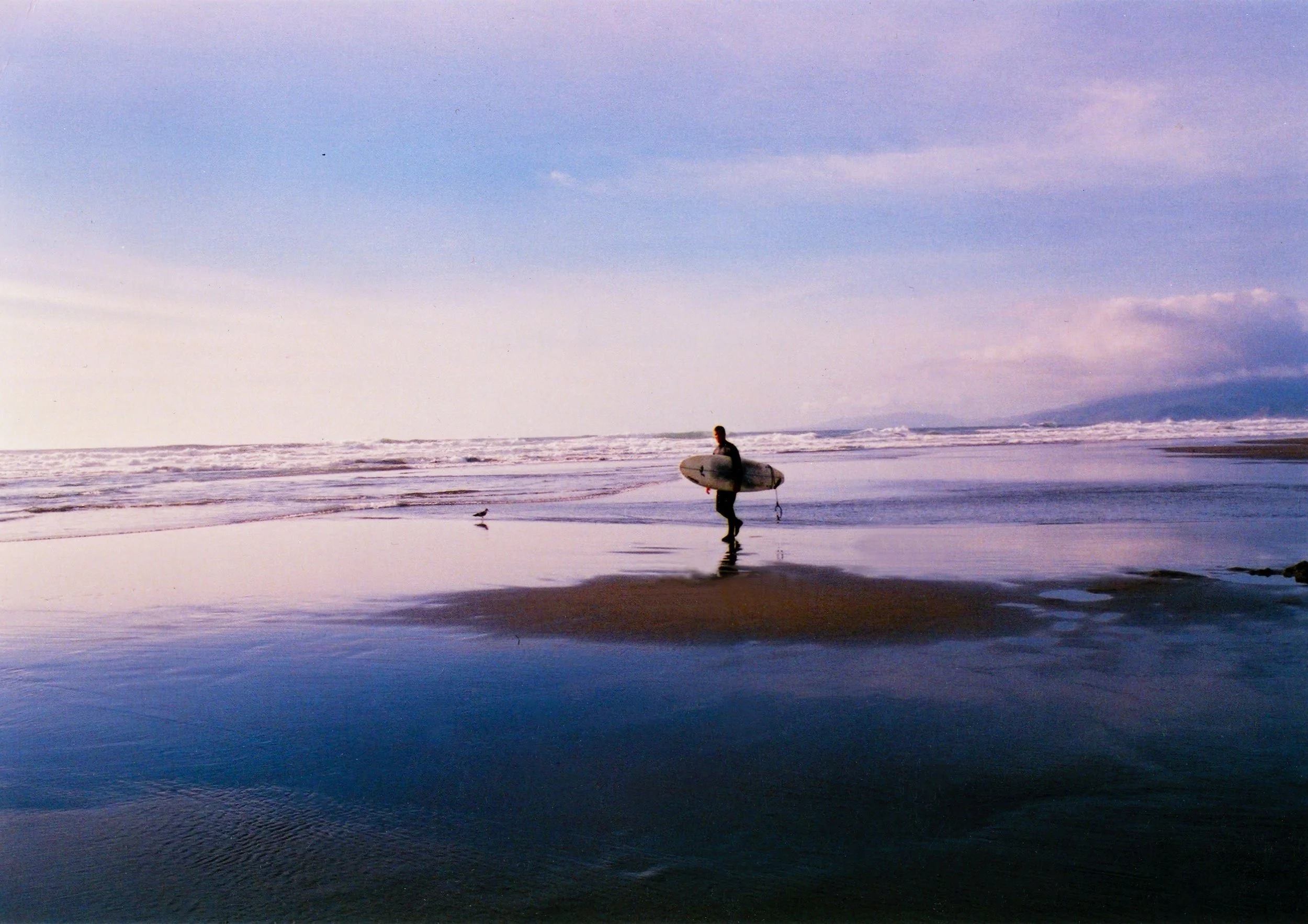 Cali-surfer-w.JPG