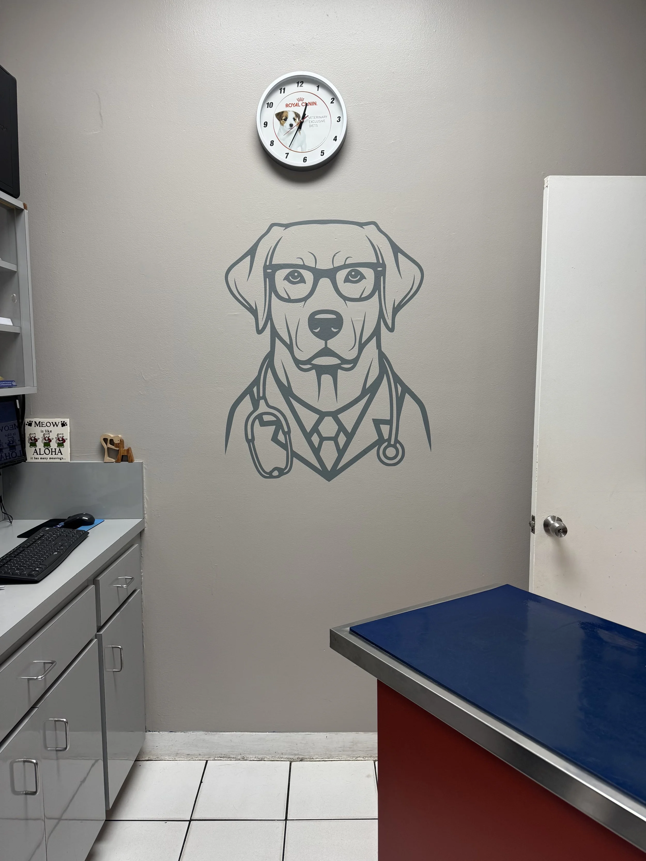 Exam room at J&M Veterinary Services