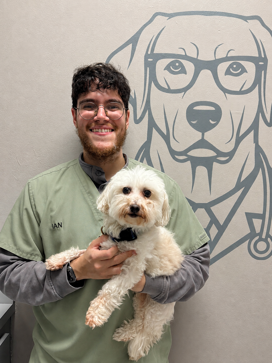 Veterinary team at J&M Veterinary Services in Miami.