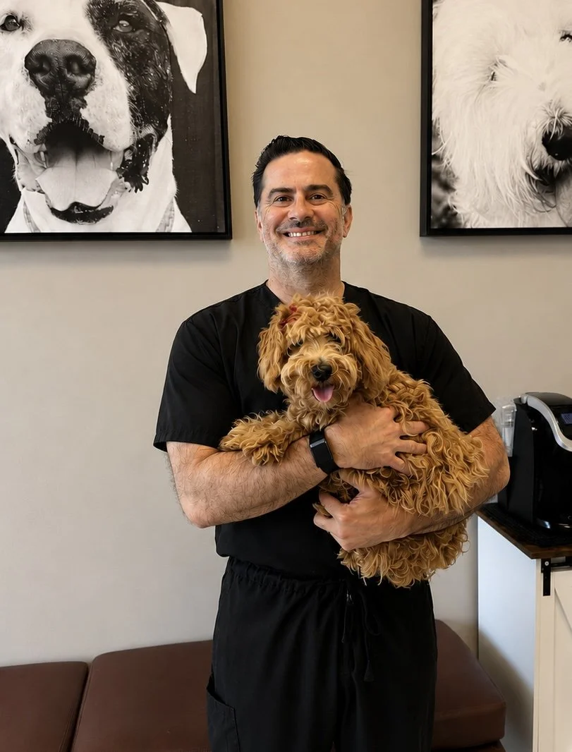 Dr. Johann Wiese at J&M Veterinary Services in Miami.