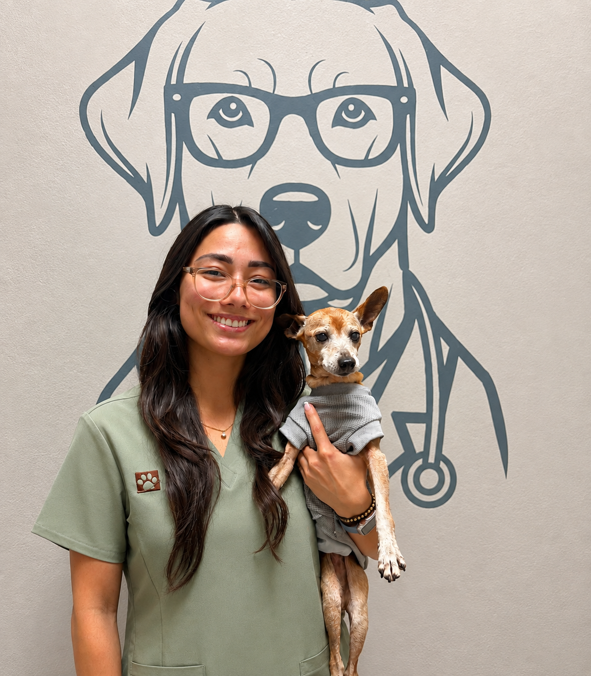 Veterinary team at J&M Veterinary Services in Miami.