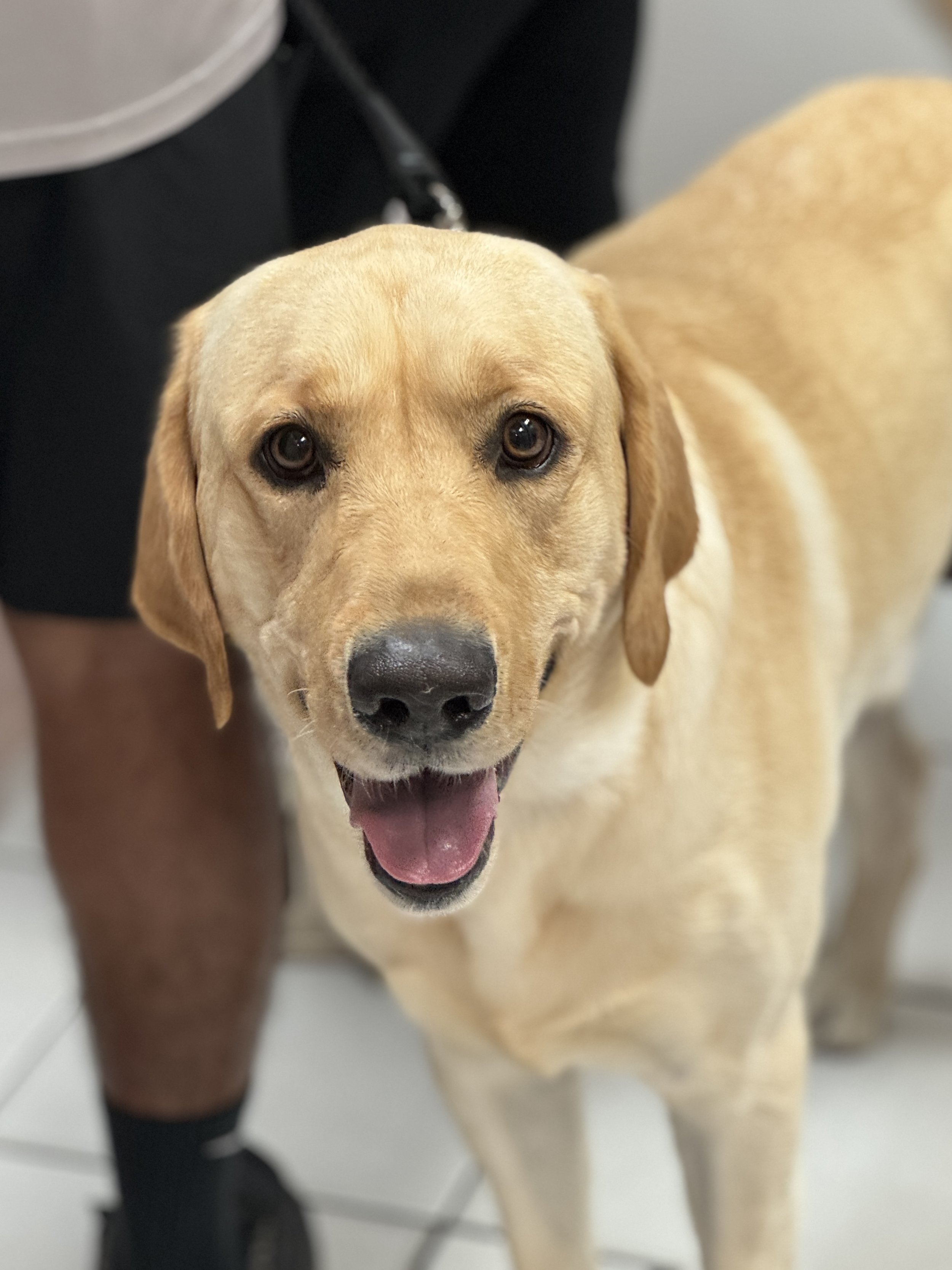 Happy Patient at J&M Veterinary Services