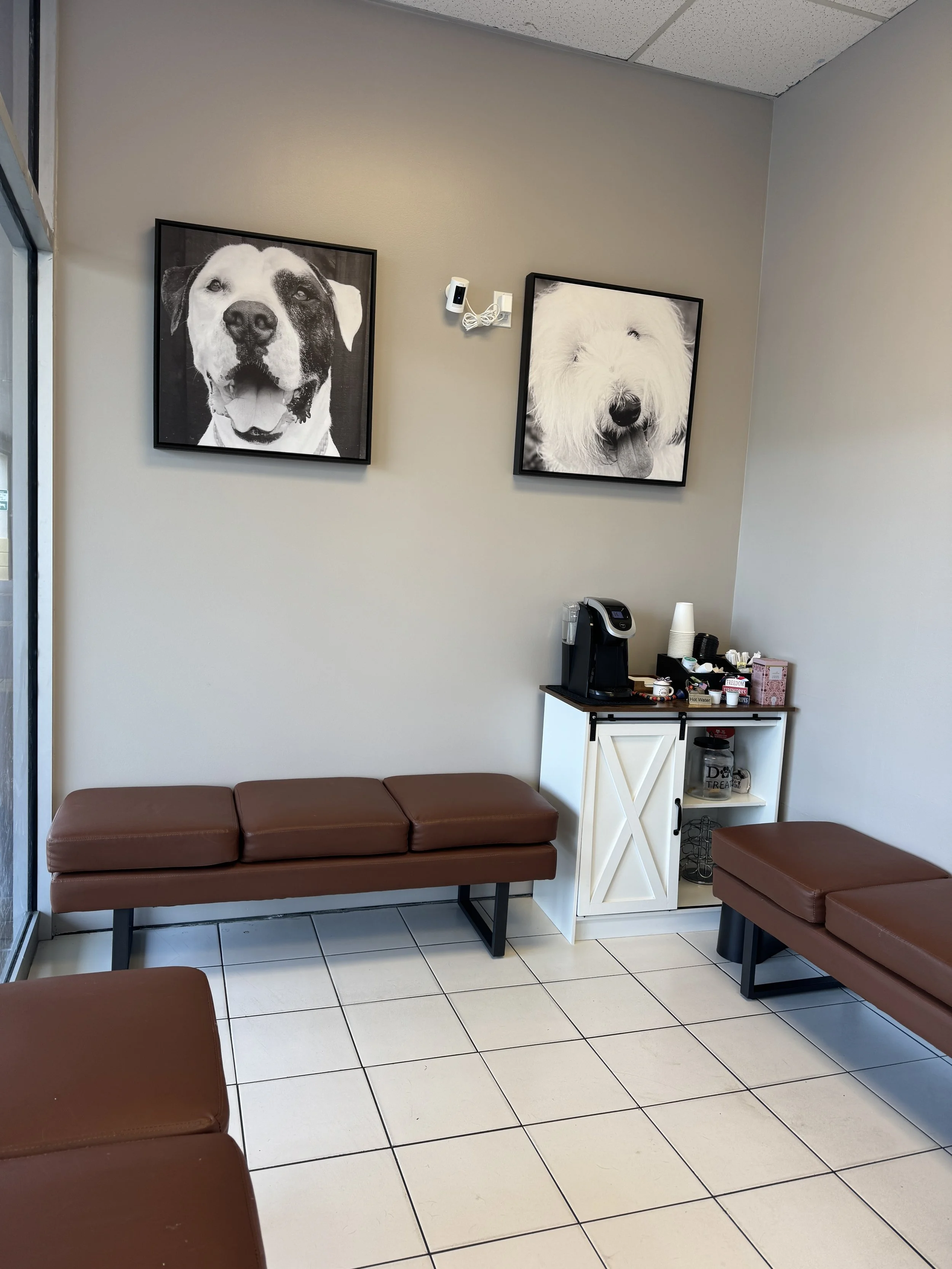 Friendly reception area at J&M Veterinary Services.