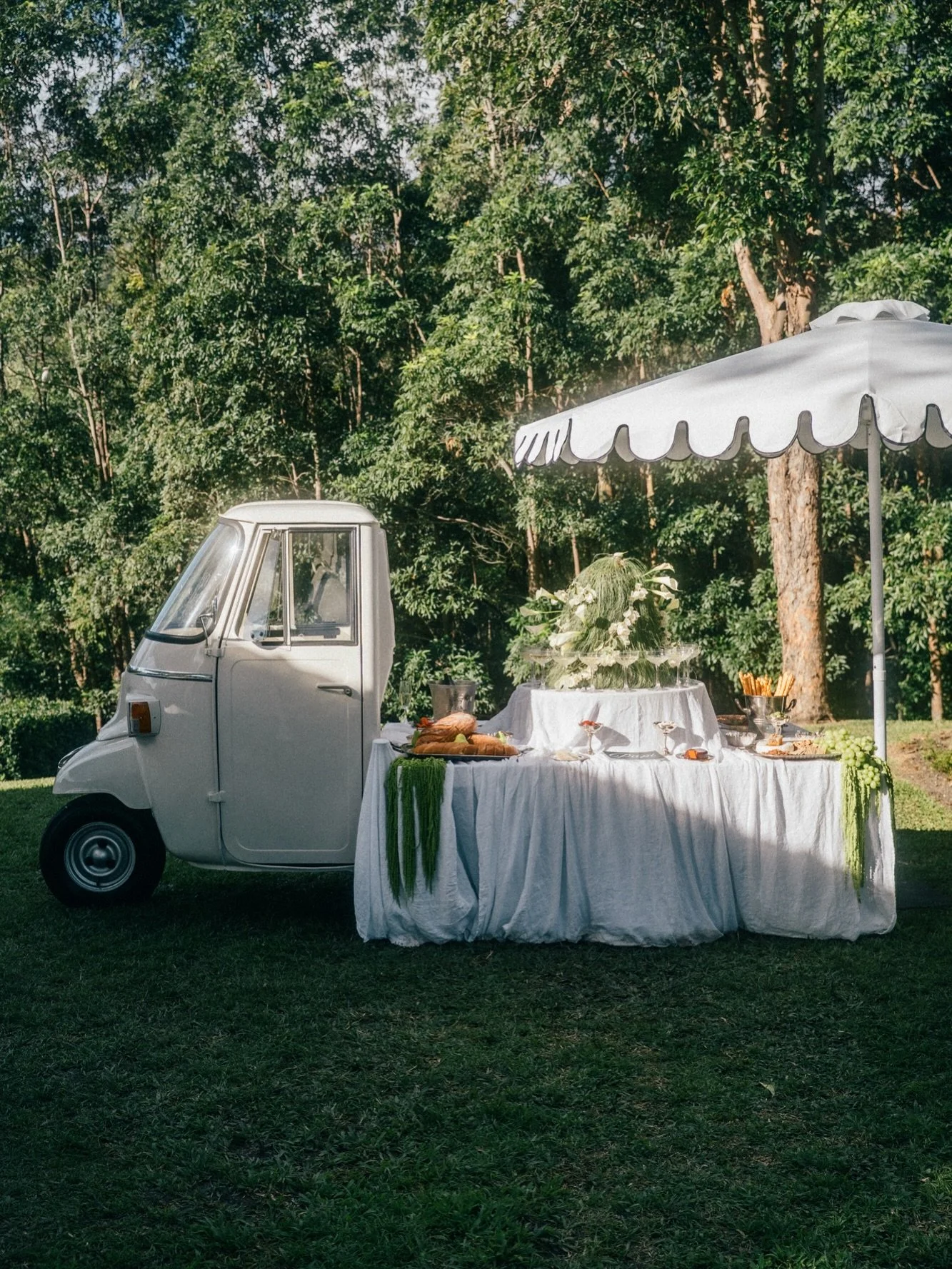 Papi, dressed for the occasion. 

Papi sitting pretty at @austinvilla_estate for @weddingcollectivegoldcoast wedding expo