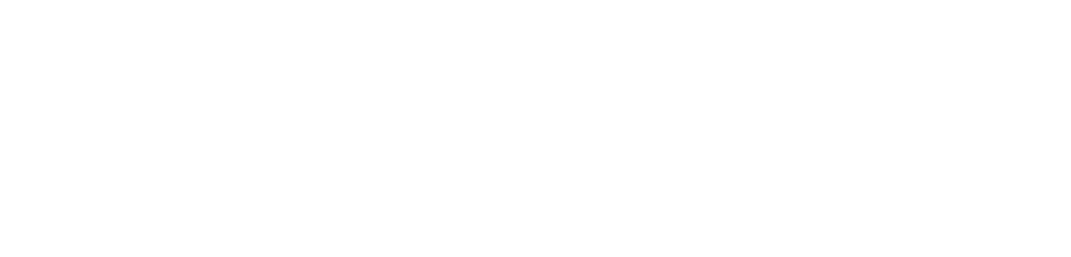 PIAGGIO PAPI