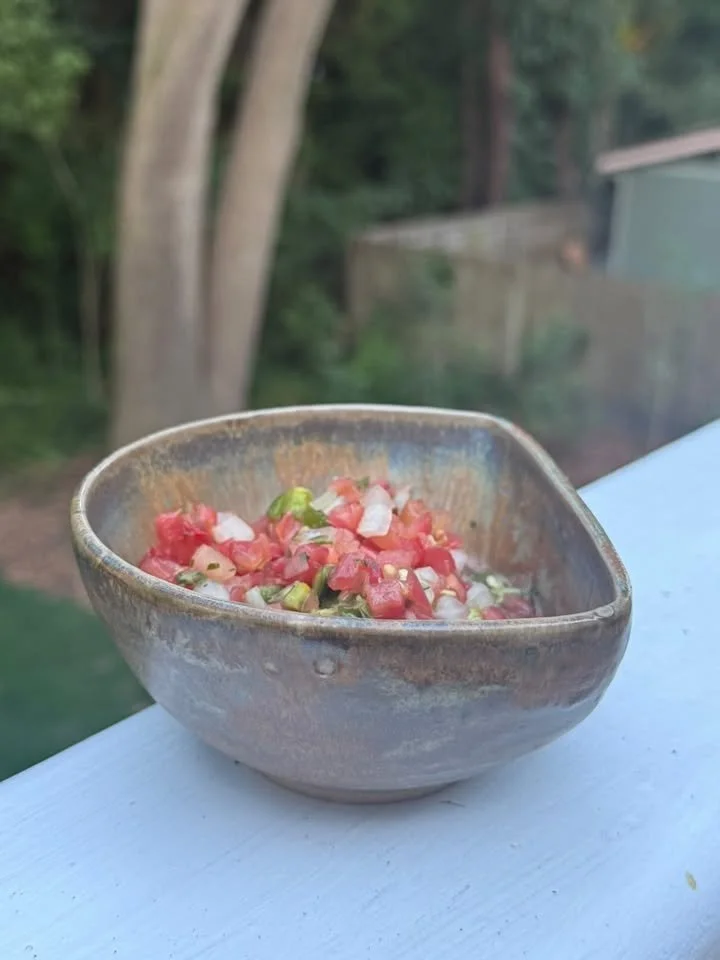 Better Salsa Bowl2.jpg