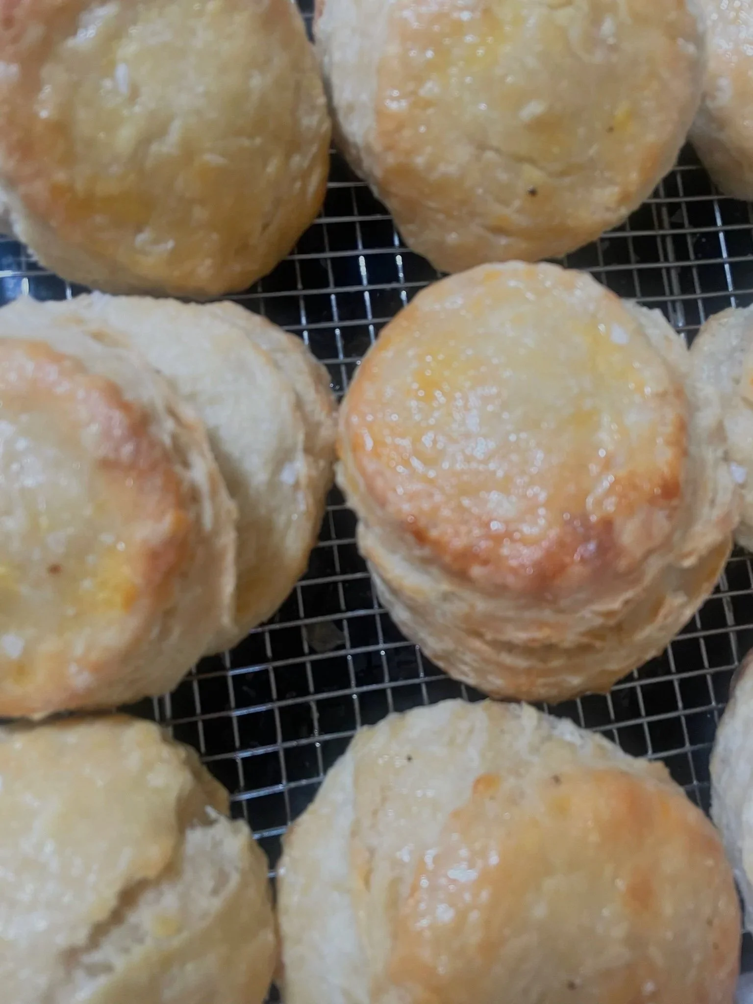 Had a dream I was in an argument with a loved one while holding a biscuit in my hand so we made biscuit sandwiches for brunch