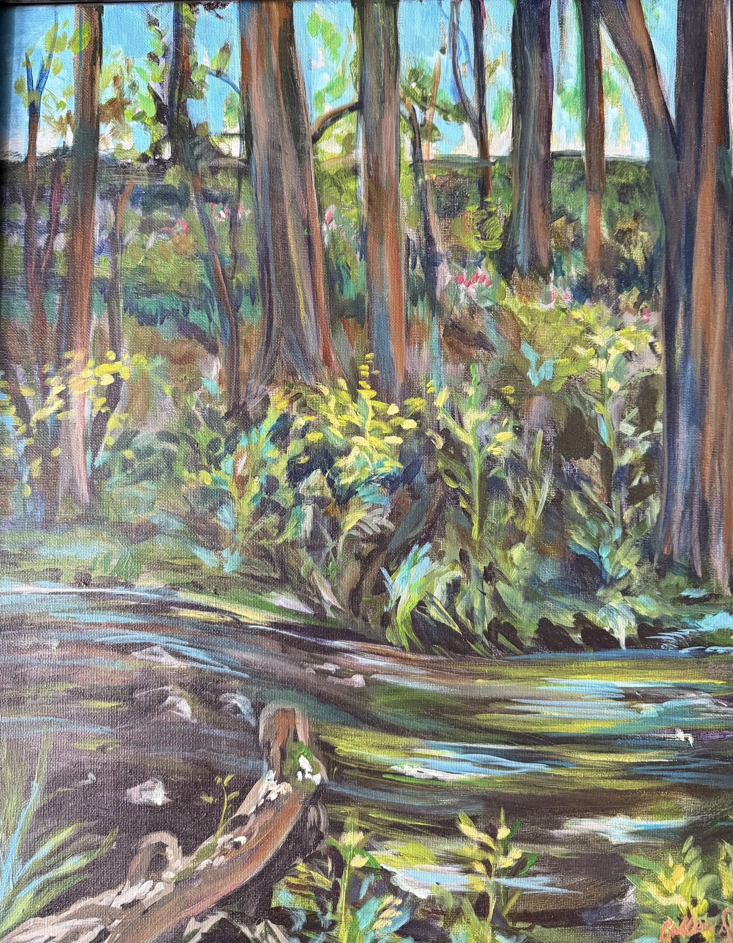 Hat Rapids Brook