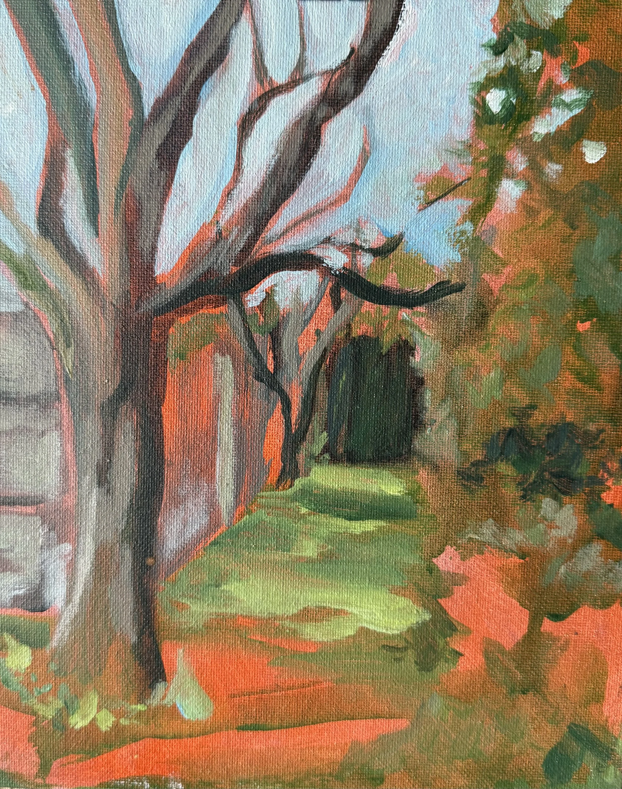Orange Tree