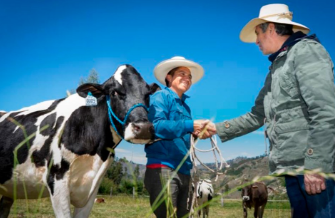 Personas estrechándose la mano con una vaca en un campo, bajo un cielo azul.