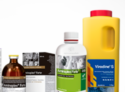 Diversos frascos de medicamentos y suplementos en estantería.