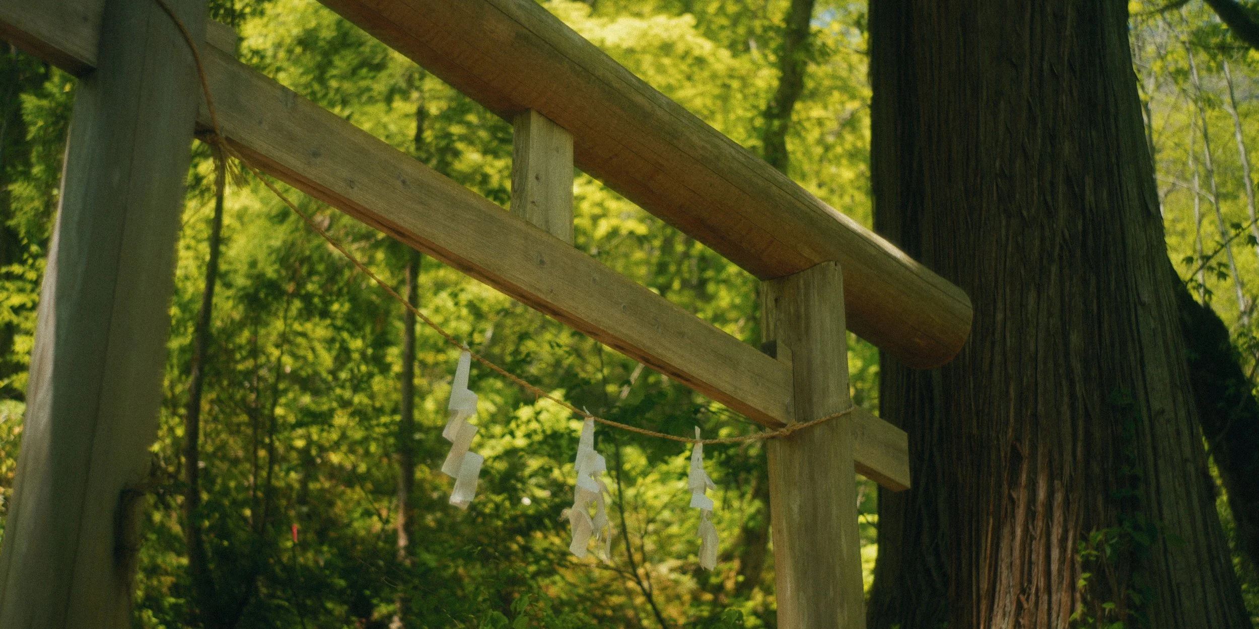 Close-up of a wooden structure with a horizontal bar and some hanging paper or fabric decorations, set against a background of trees with green leaves.