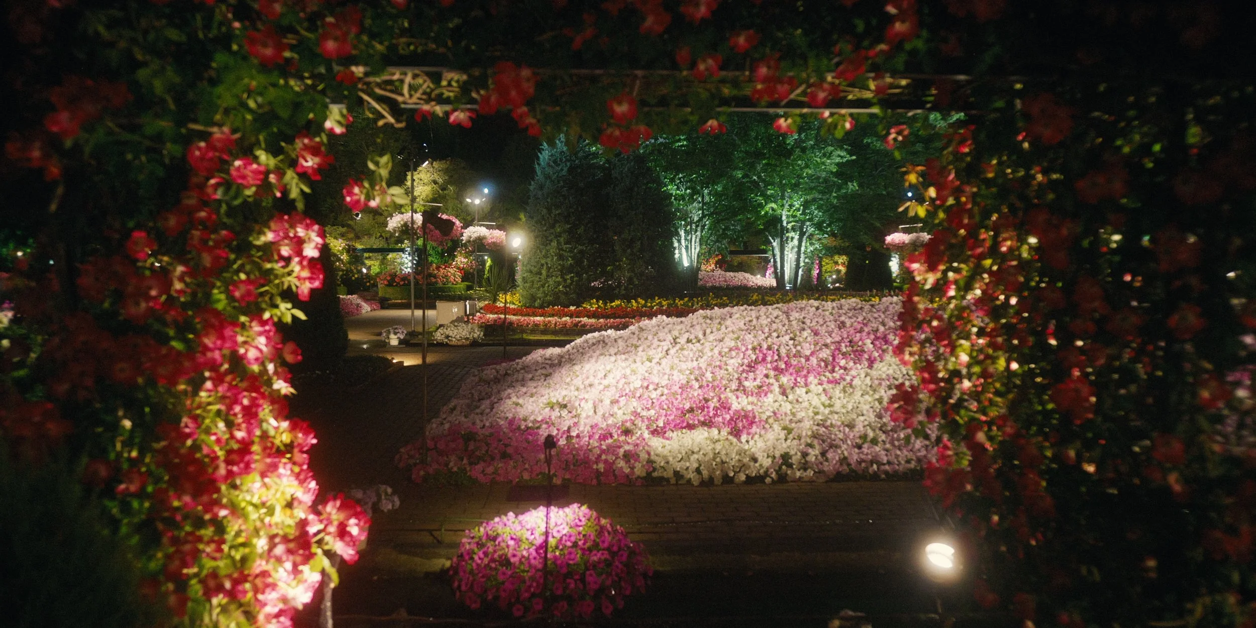 Night view of a park with colorful flowers, illuminated by lights, and trees in the background