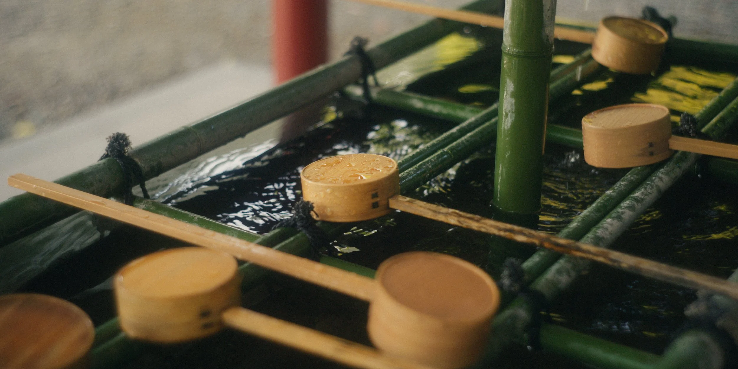 Close-up of small floating wooden and bamboo boats with round seats, secured with wooden sticks, floating in dark water.