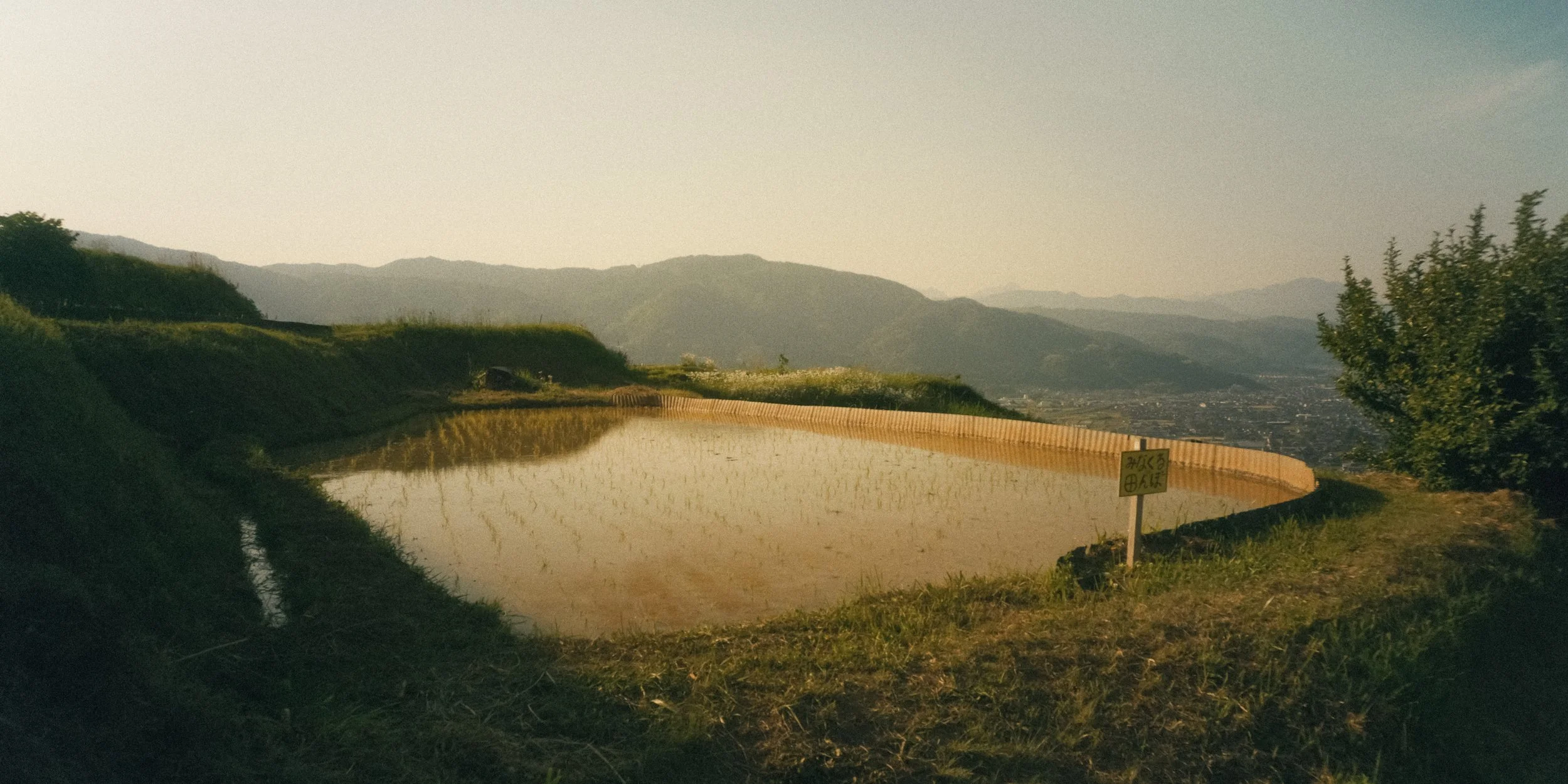 A rice paddy field situated on a hillside with a mountain range in the background under a clear sky, with green trees on the right and a sign in Japanese near the water.