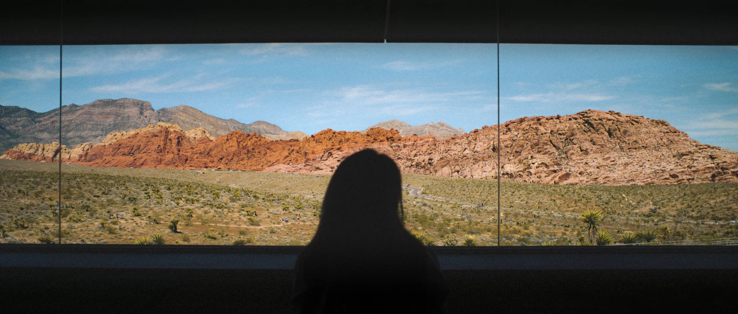 Silhouette of a person looking at a large landscape display of desert mountains and terrain with a blue sky.