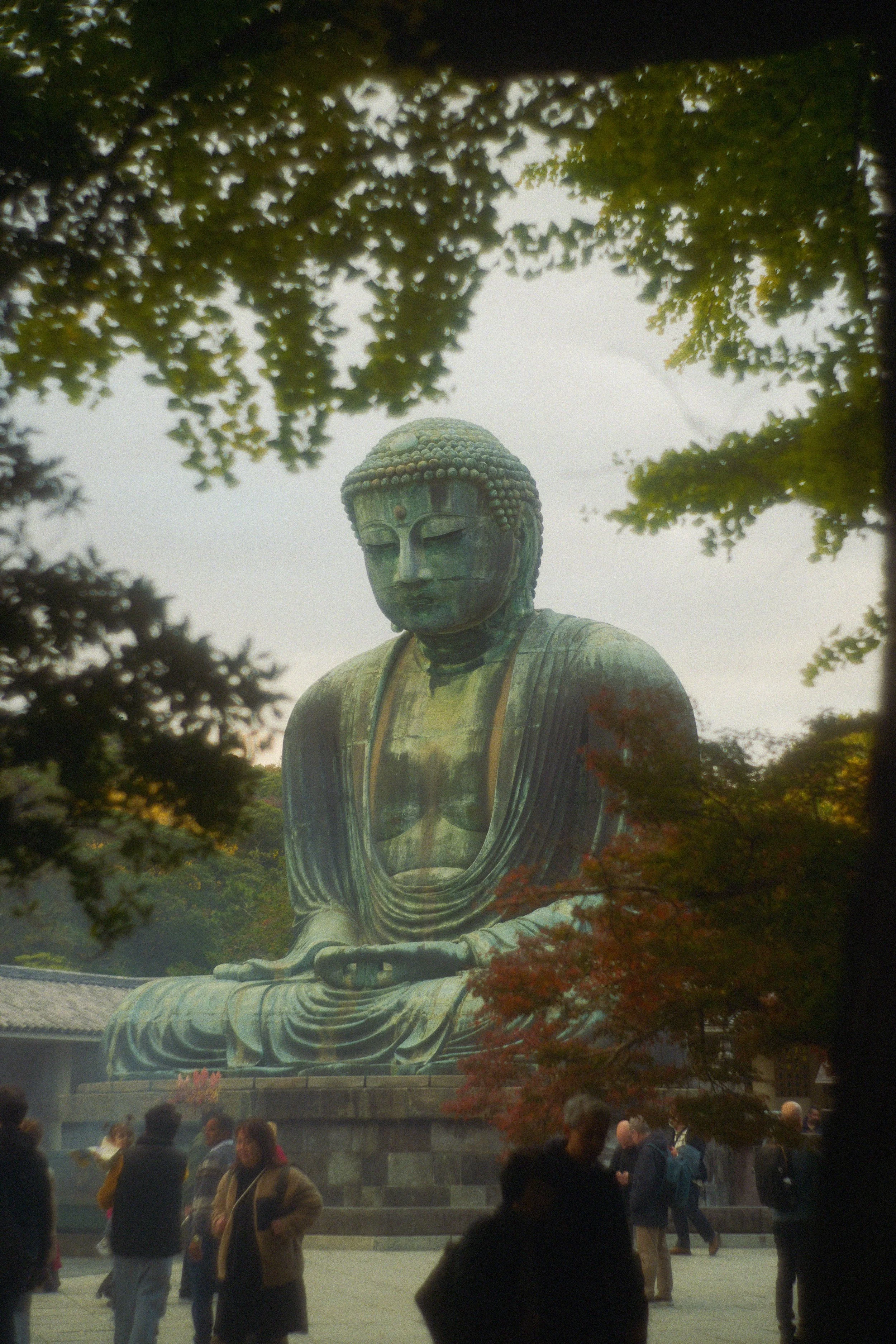 People walking and gathering in front of a large sitting Buddha statue with trees in the background.