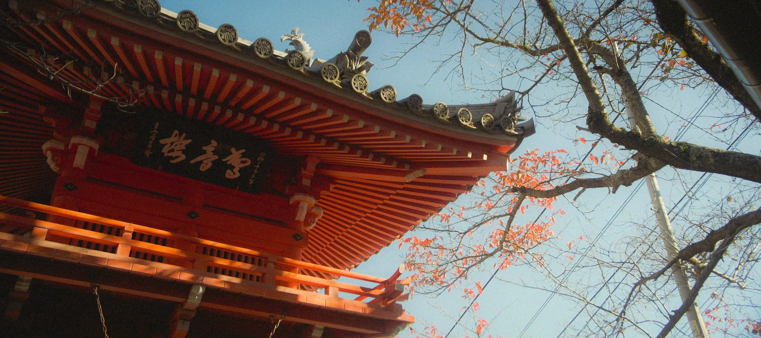 A traditional Japanese temple with a red wooden structure and ornate roof, under a clear blue sky, with tree branches and autumn leaves in the background.