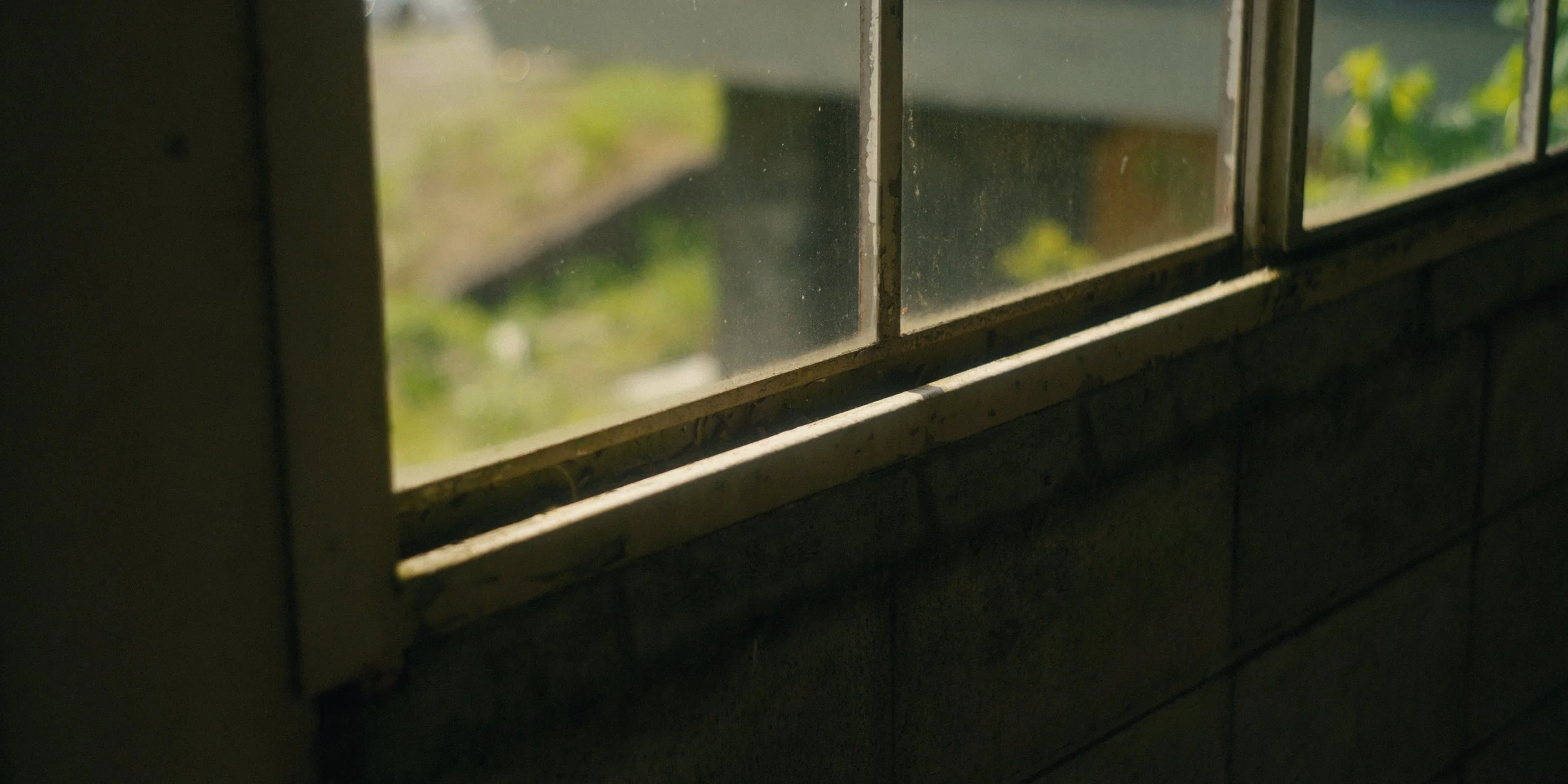 Close-up of a window with multiple panes, showing a blurry outdoor scene with green foliage.