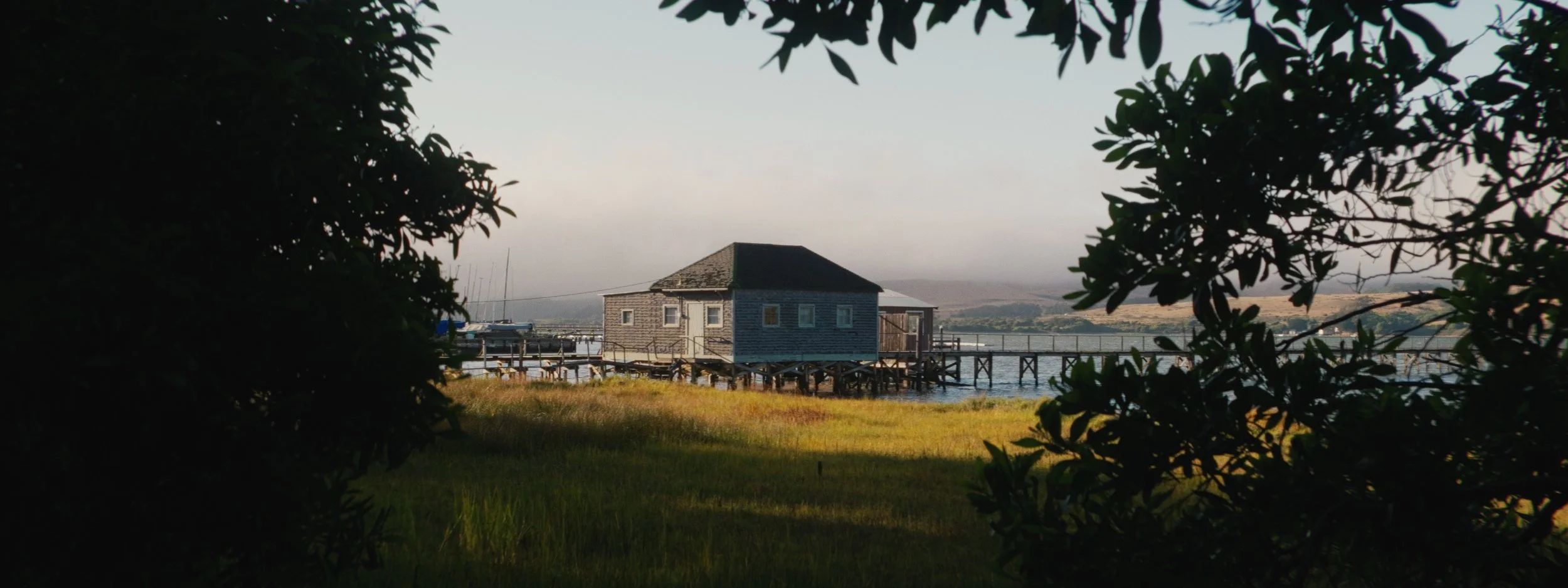 A rustic wooden house on stilts over a body of water, framed by dark leaves in the foreground, with a grassy area nearby and boats docked along a pier in the background.