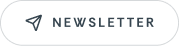 Newsletter subscribe button with paper plane icon