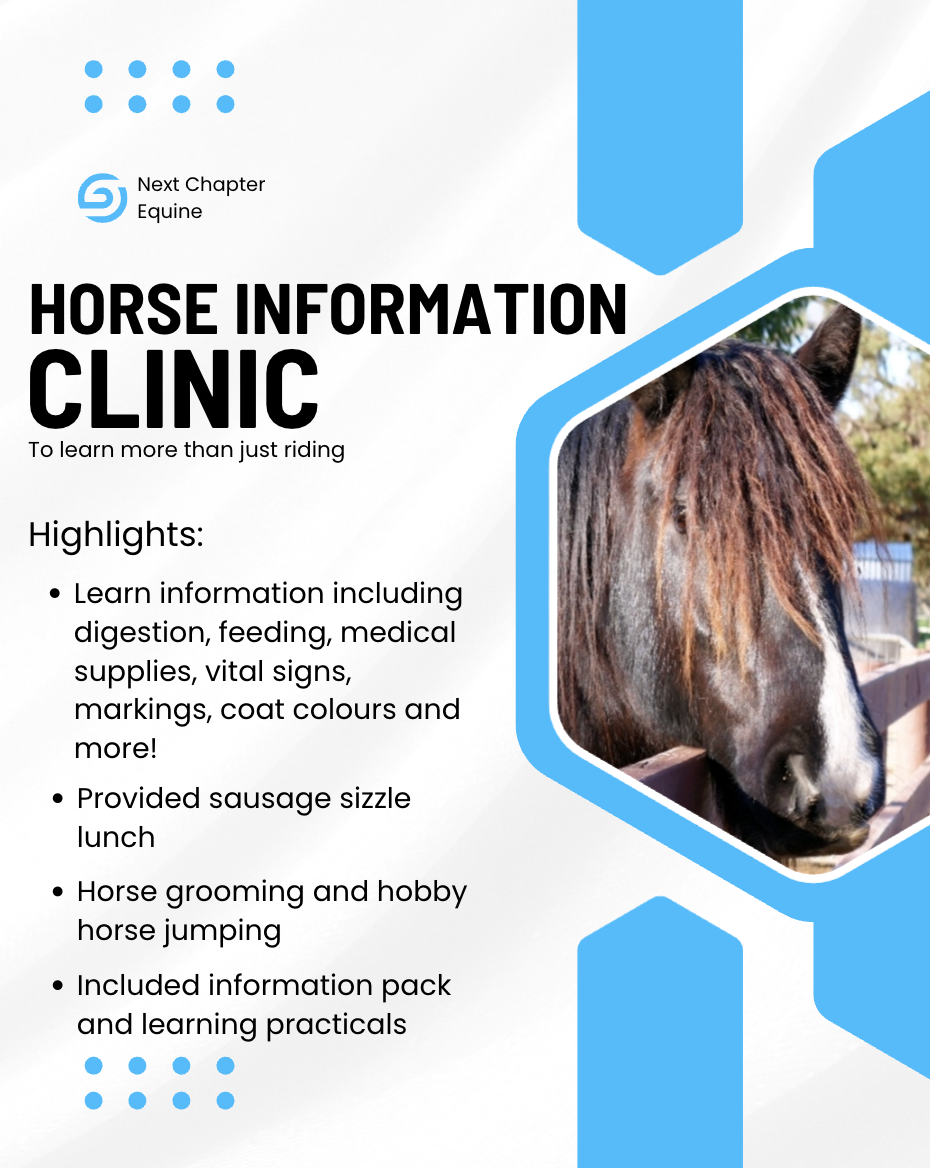 Horse Information Clinic