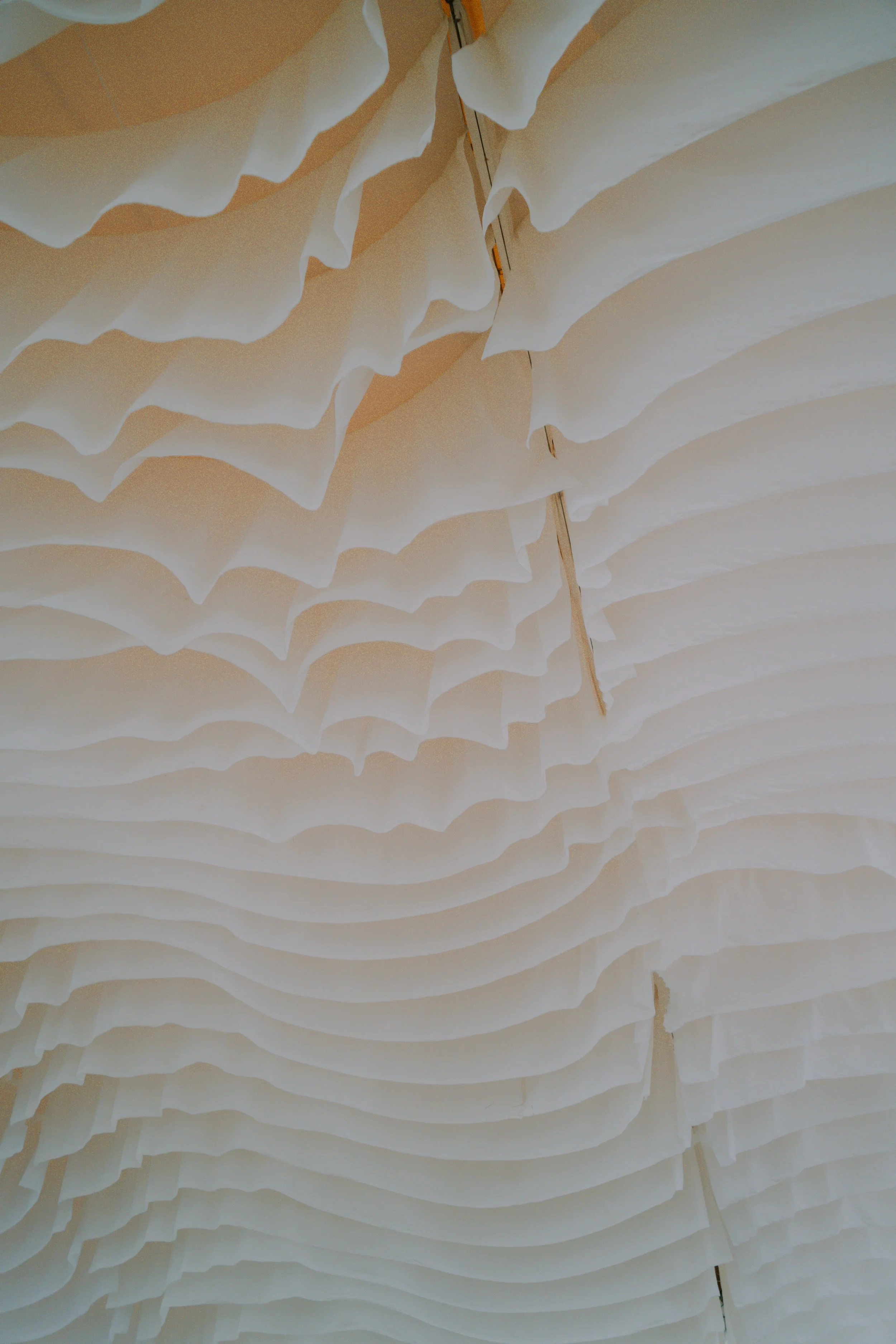 _com.apple.Foundation.NSItemProvider.dH6lmY.jpeg