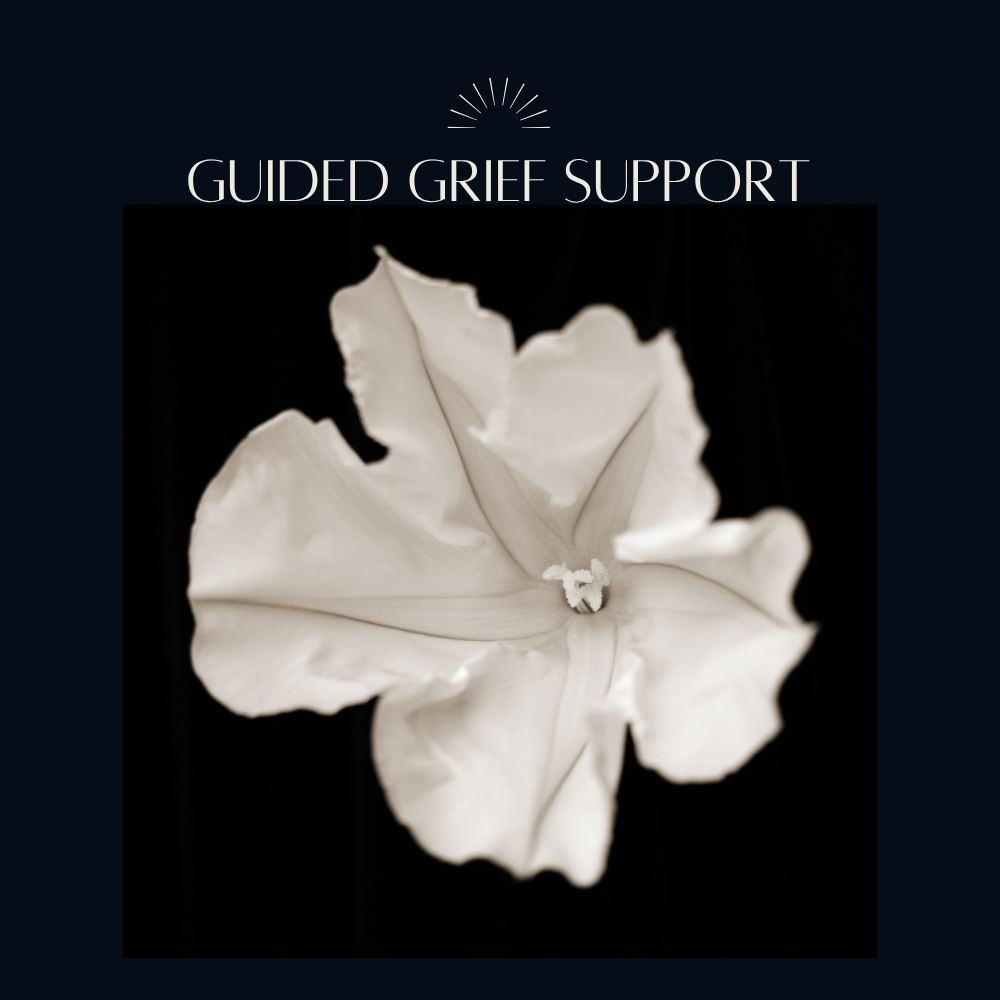 Remote Guided Grief Support