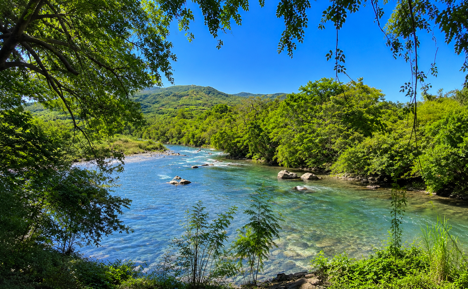 Vue panoramique d'une rivière claire entourée de végétation verdoyante, avec des montagnes en arrière-plan et un ciel bleu.