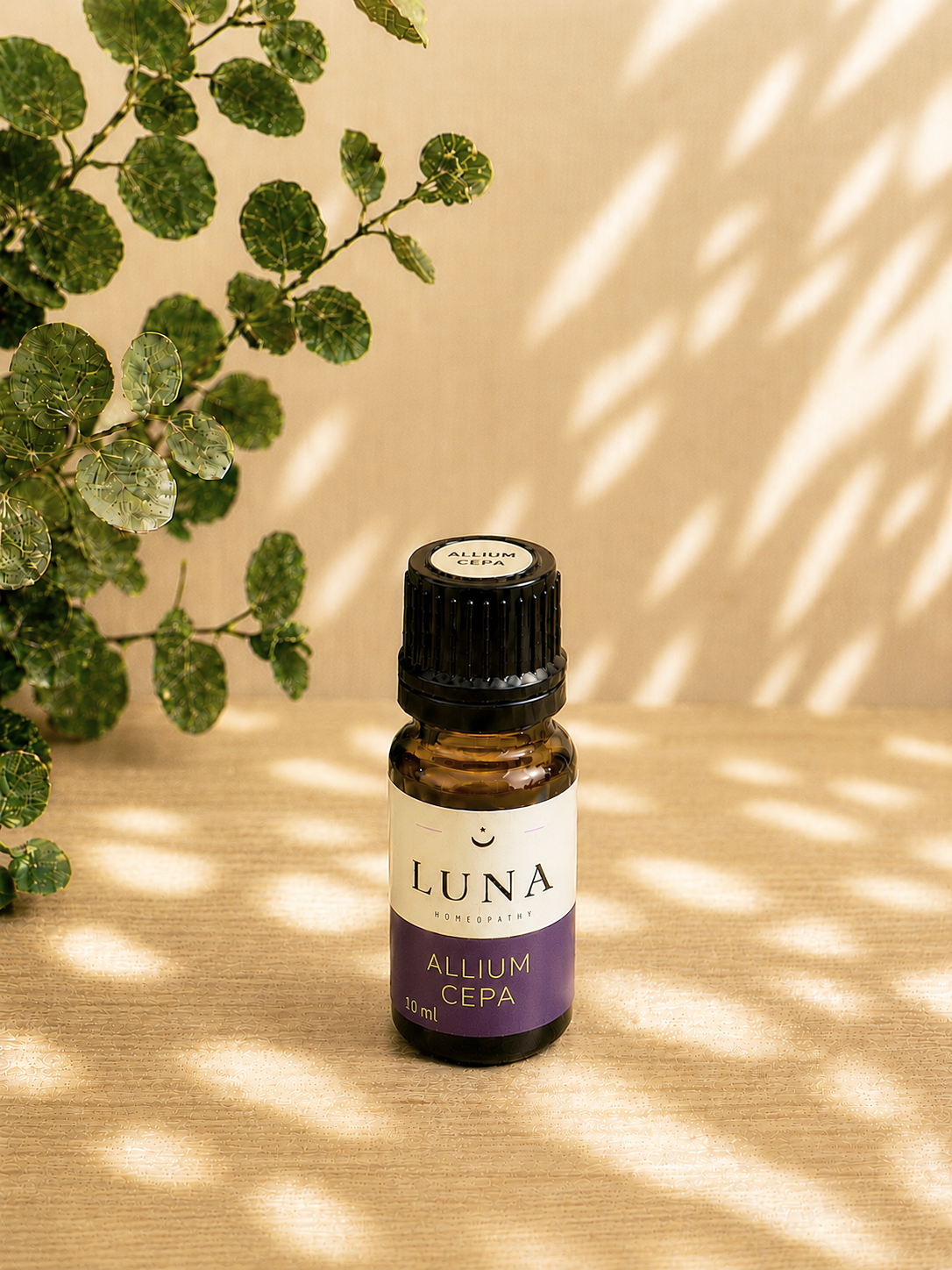 Allium Cepa