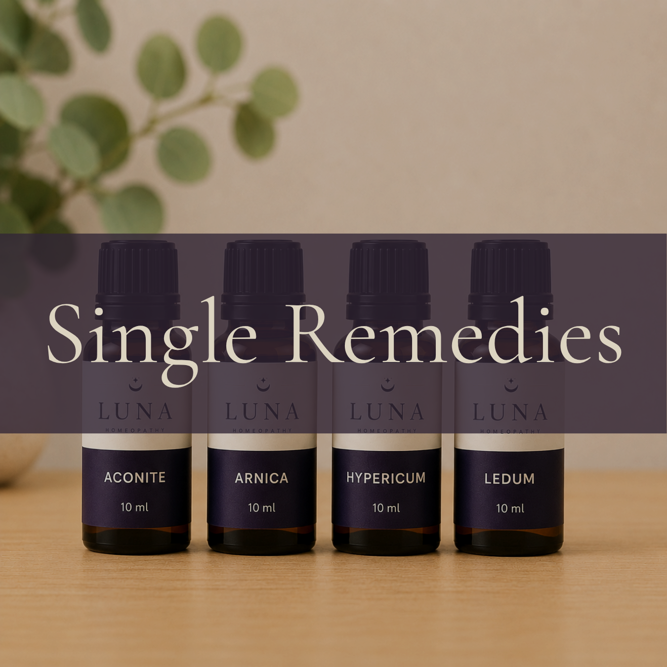 Four small amber bottles labeled Luna Homeopathy with different remedies: Aconite, Arnica, Hypericum, and Ledum, each 10 ml. The bottles are on a wooden surface with a blurred background of green leaves and a beige wall.