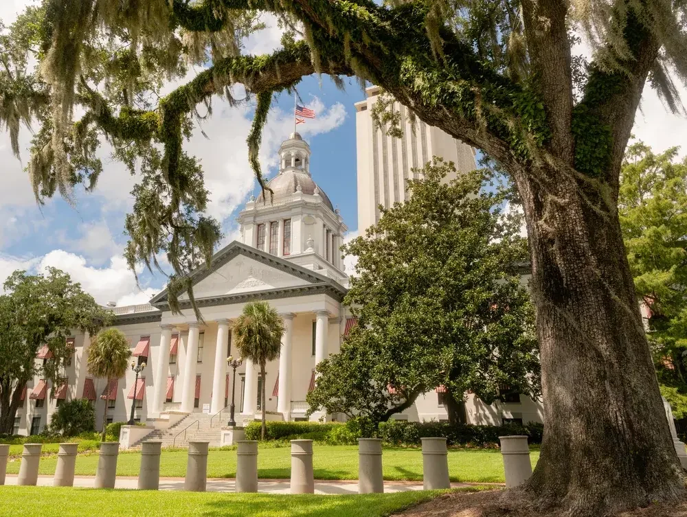 View of a historical white building with a dome and American flag, surrounded by green trees and a grassy area, with a large moss-covered tree in the foreground.
