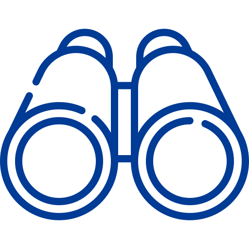 Outline illustration of binoculars in blue.