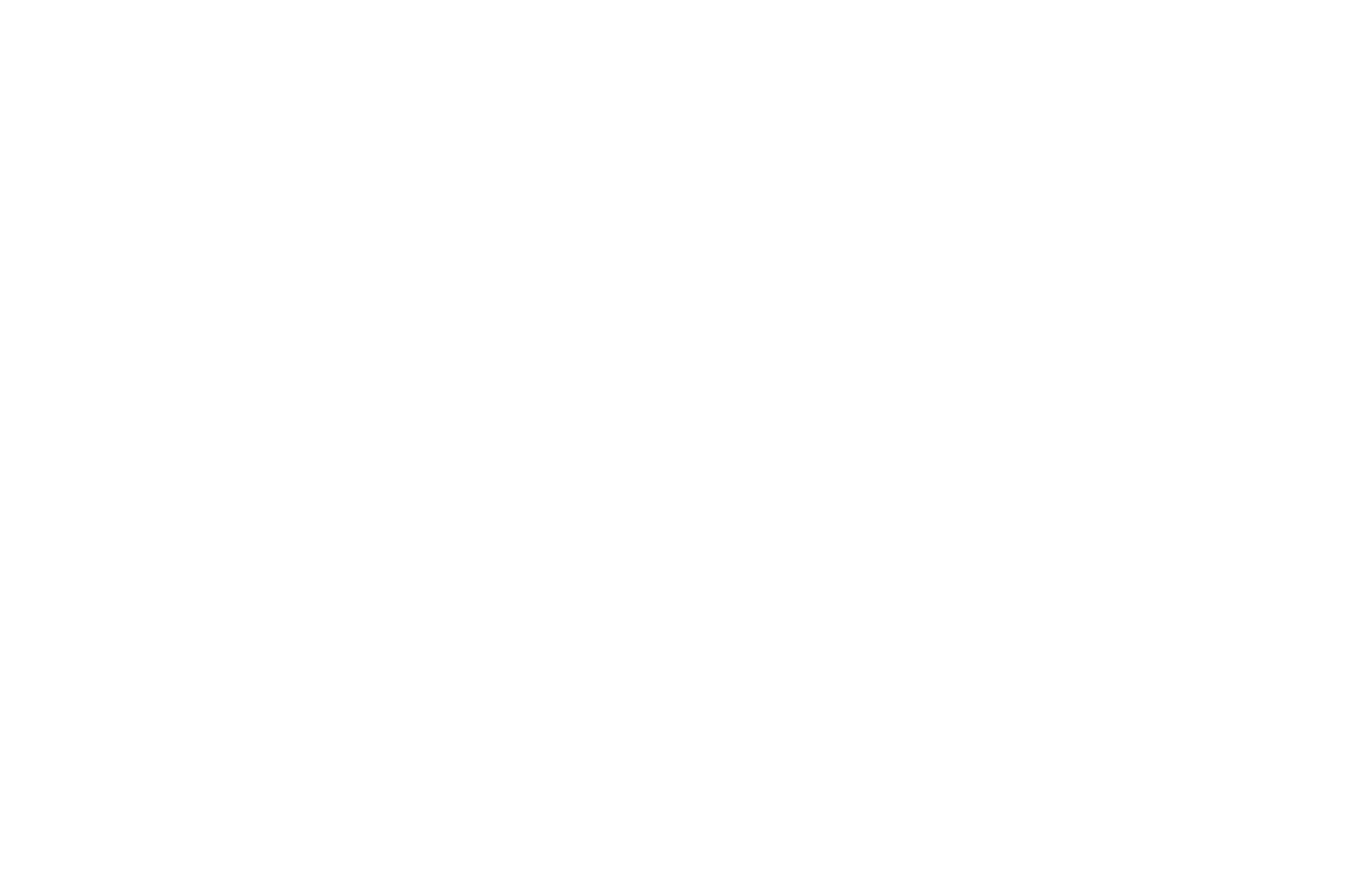 OFFICIAL SELECTION - Lule International Film Festival - 2024.png