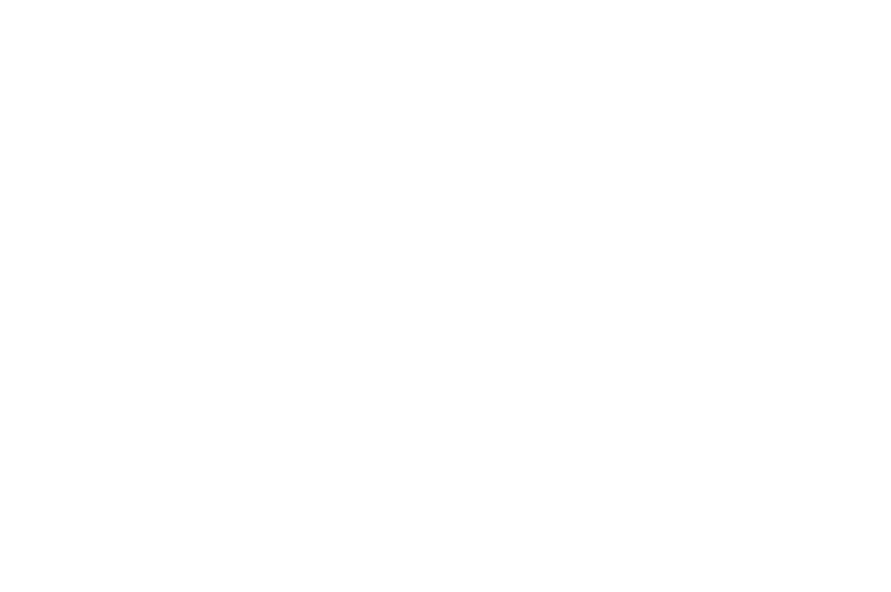 OFFICIAL SELECTION - Luna Lumen Film Festival - 2024 (1).png