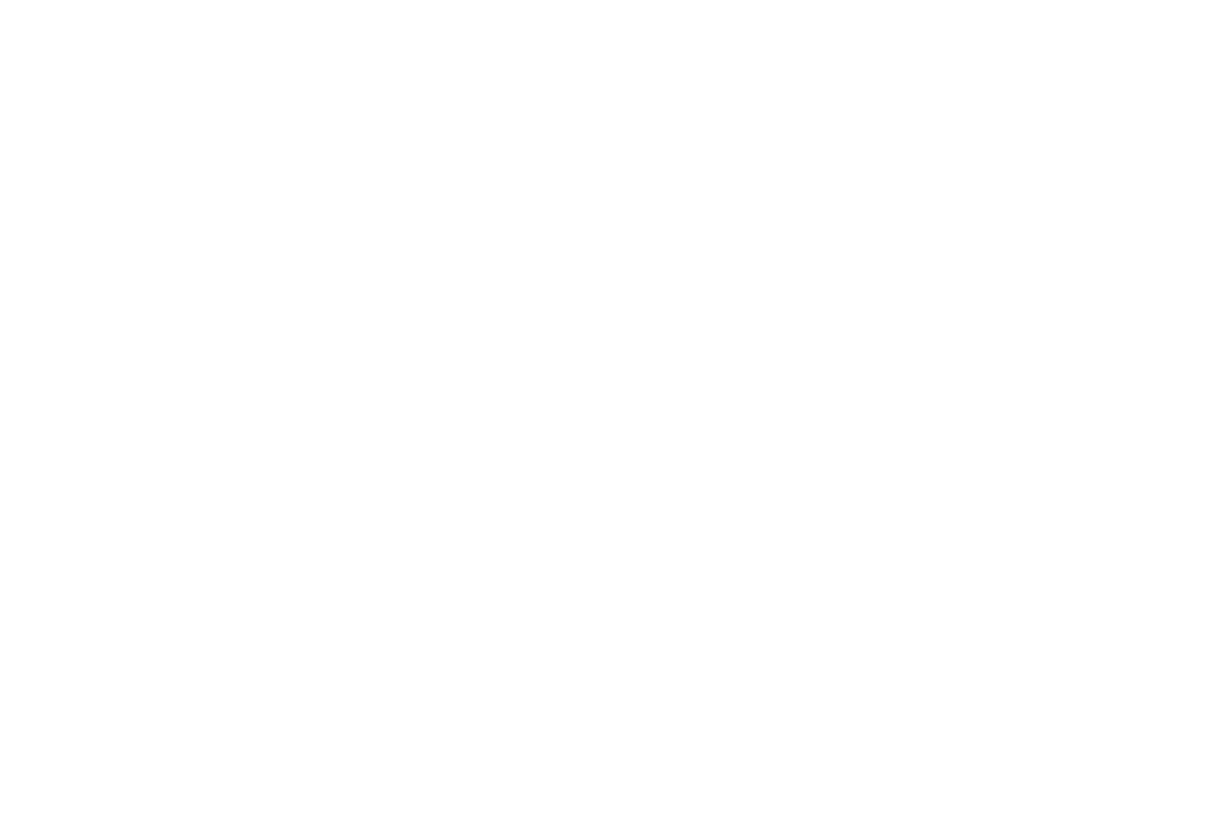 OFFICIAL SELECTION - Feel The Reel International Film Festival - 2024.png