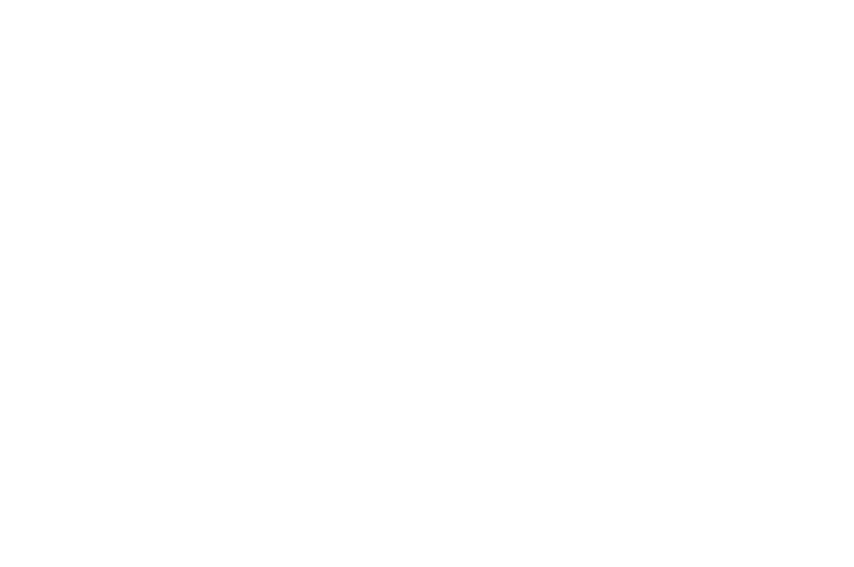 OFFICIAL SELECTION - VISIONFEST FILM FESTIVAL - 2025.png