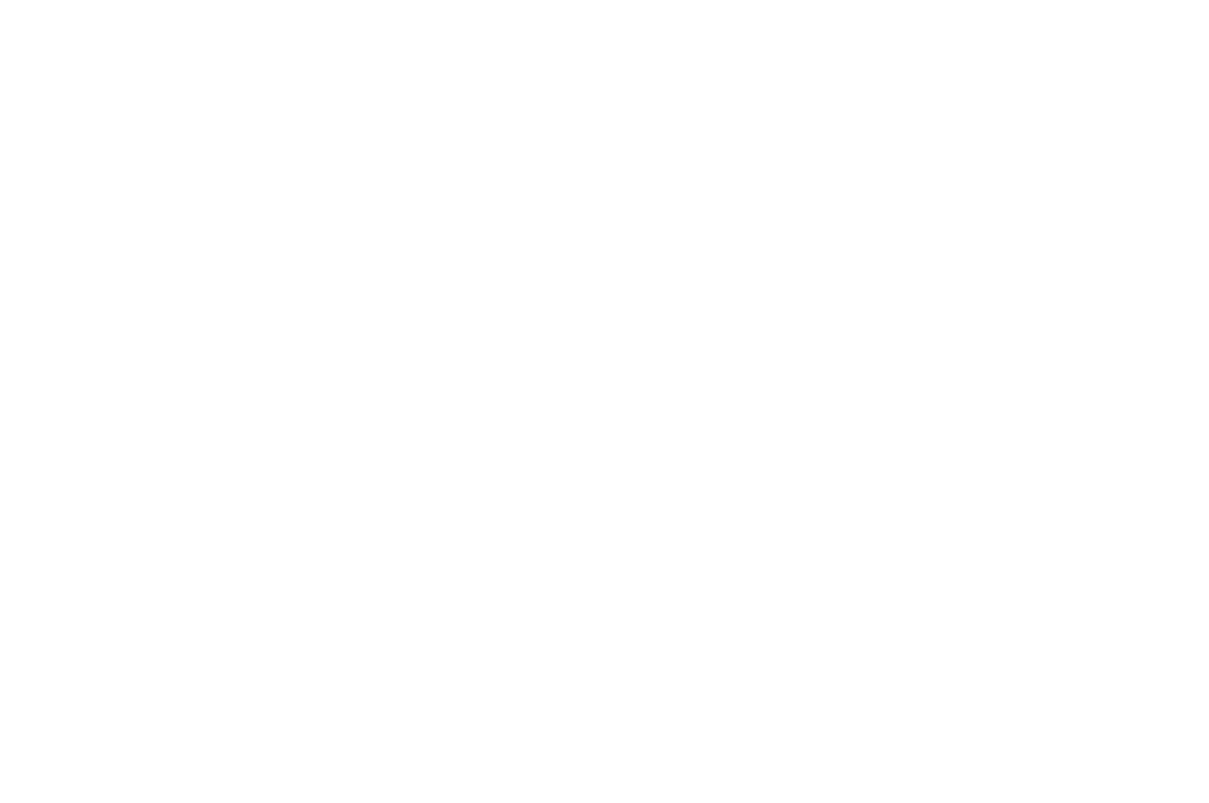 OFFICIAL SELECTION - Kansas City FilmFest International - 2025.png