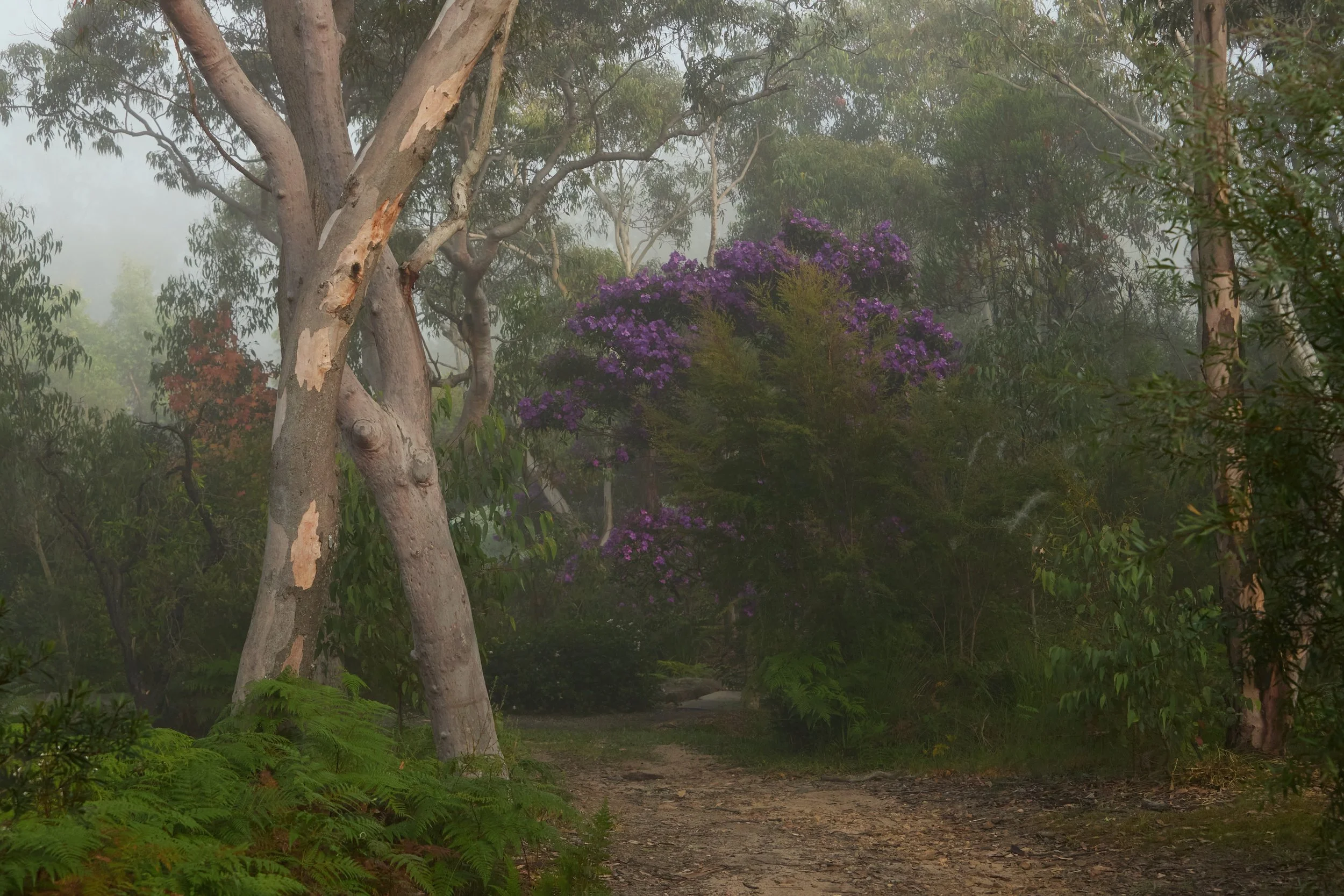 The Grounds
