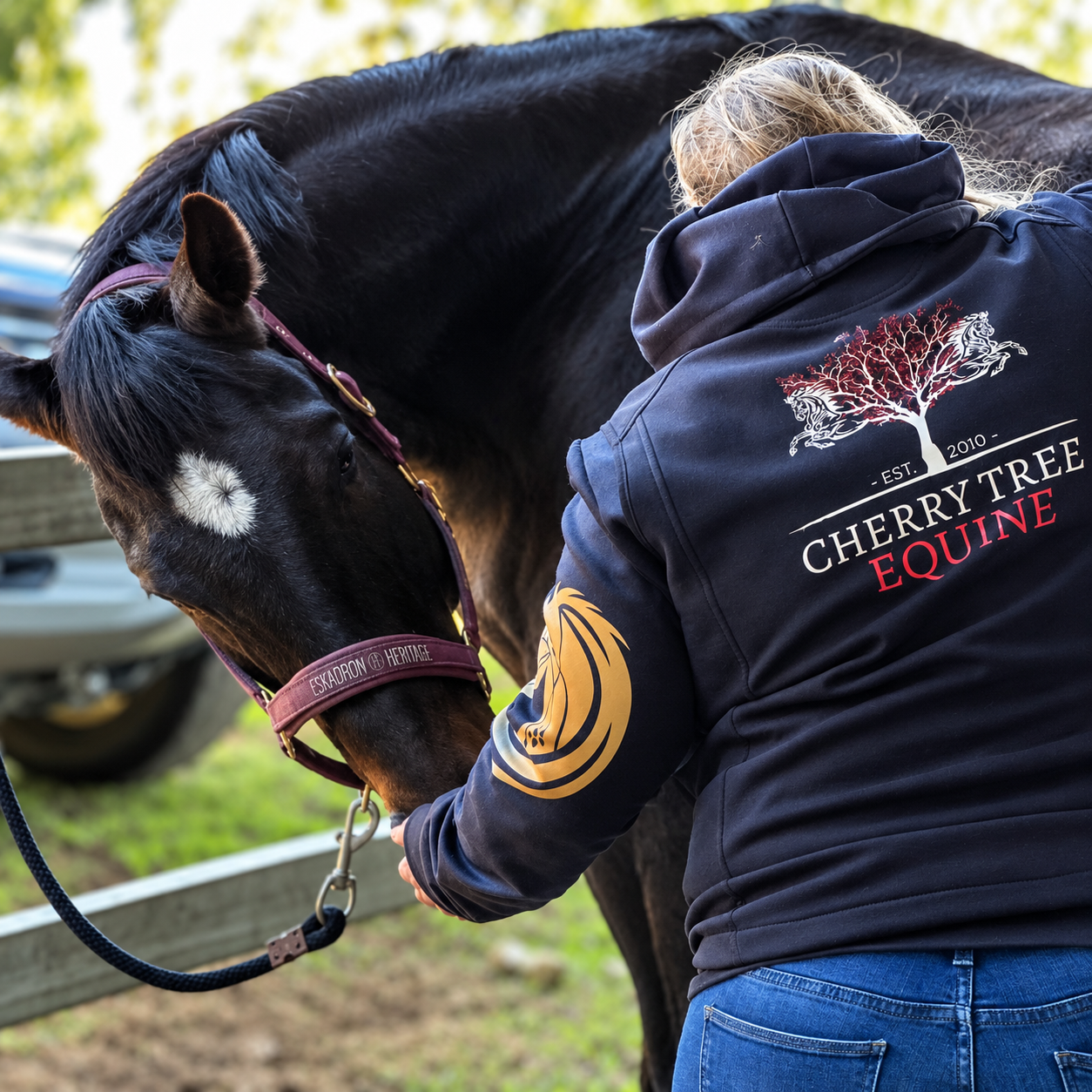 Equine Therapy Tools Workshop